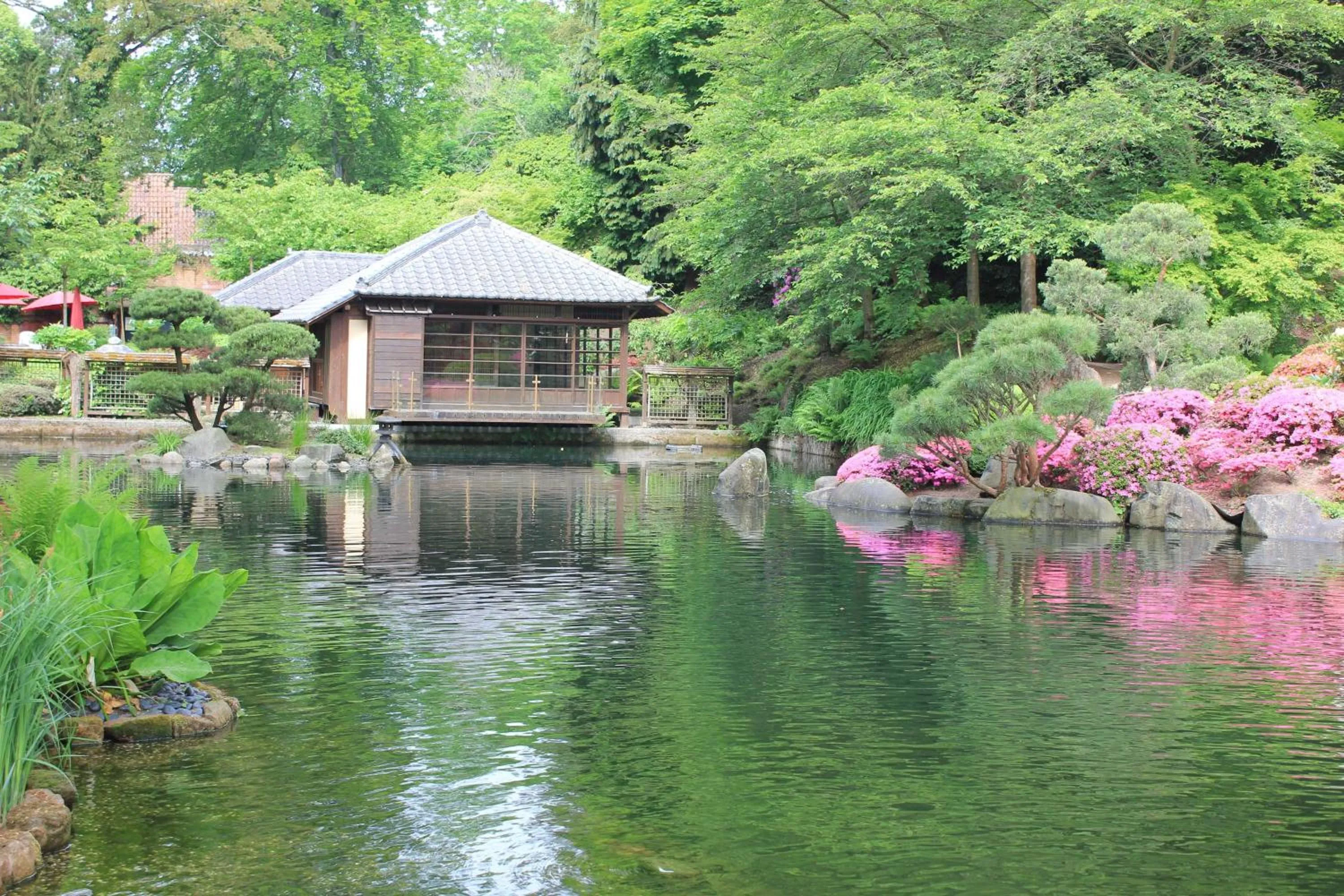 Nearby landmark in Best Western Hotel Kaiserslautern