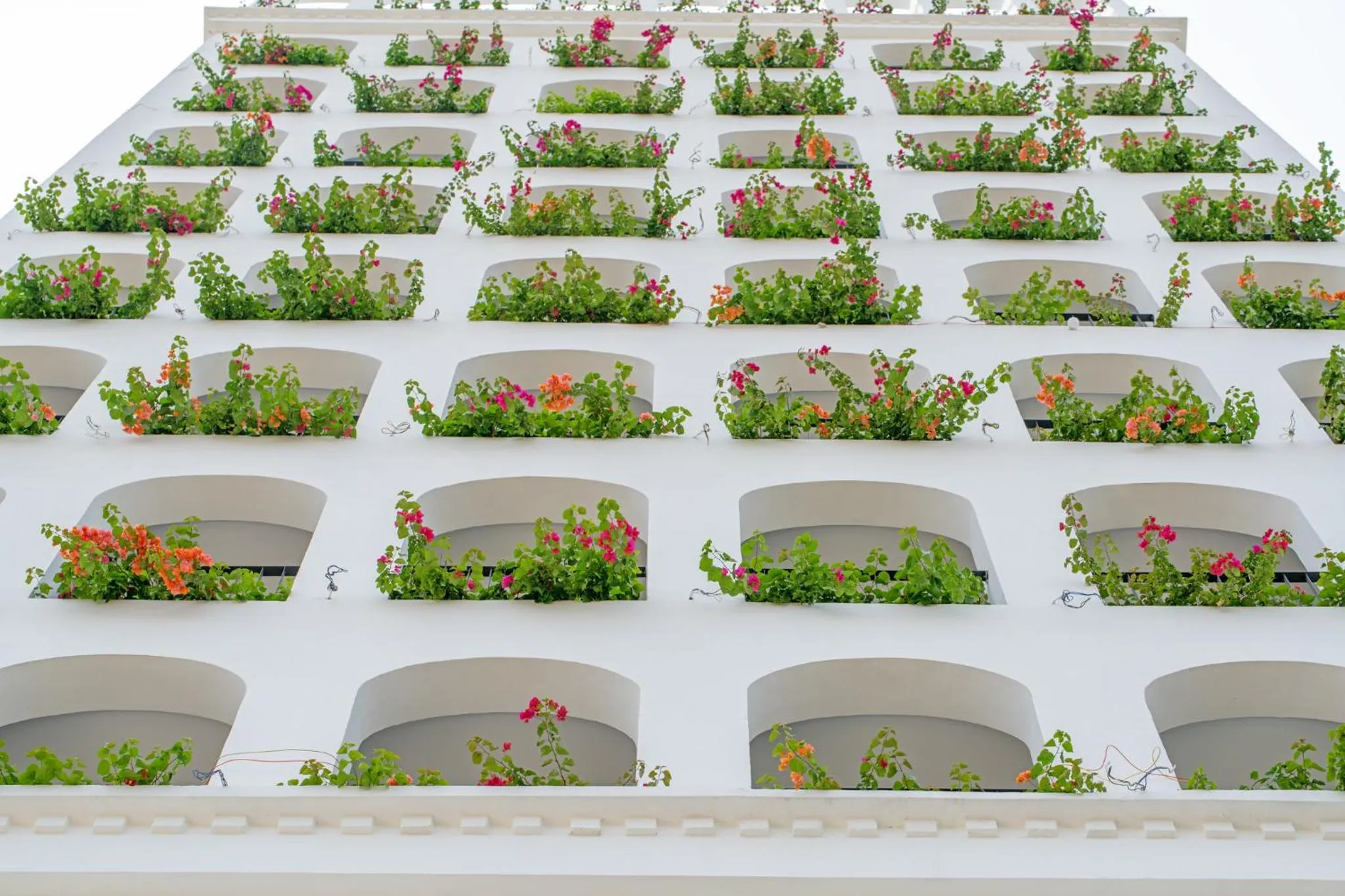 Bird's eye view in Gold Plaza Hotel Da Nang
