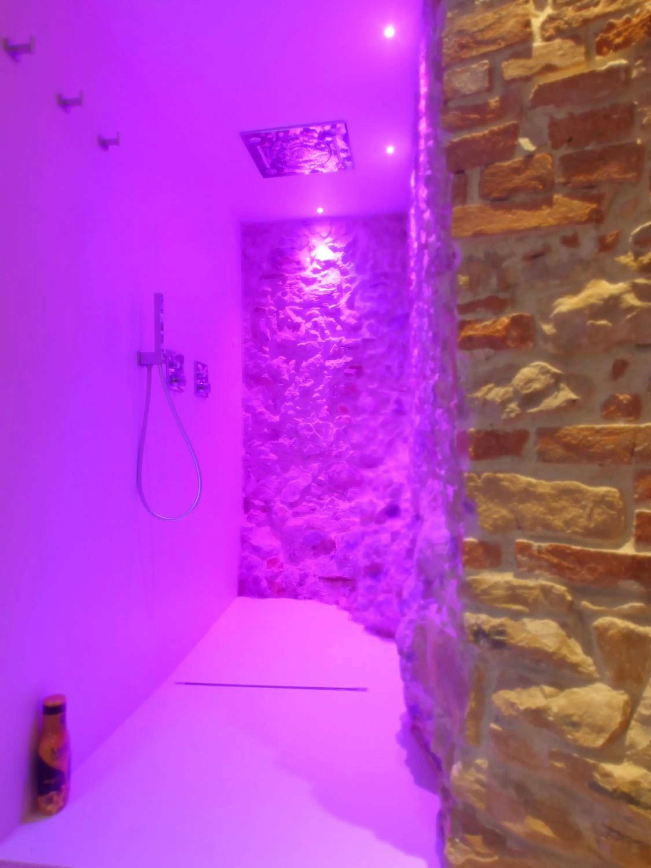 Sauna, Bed in Villa San Liberale - Suites & Wellness - Villa Veneta