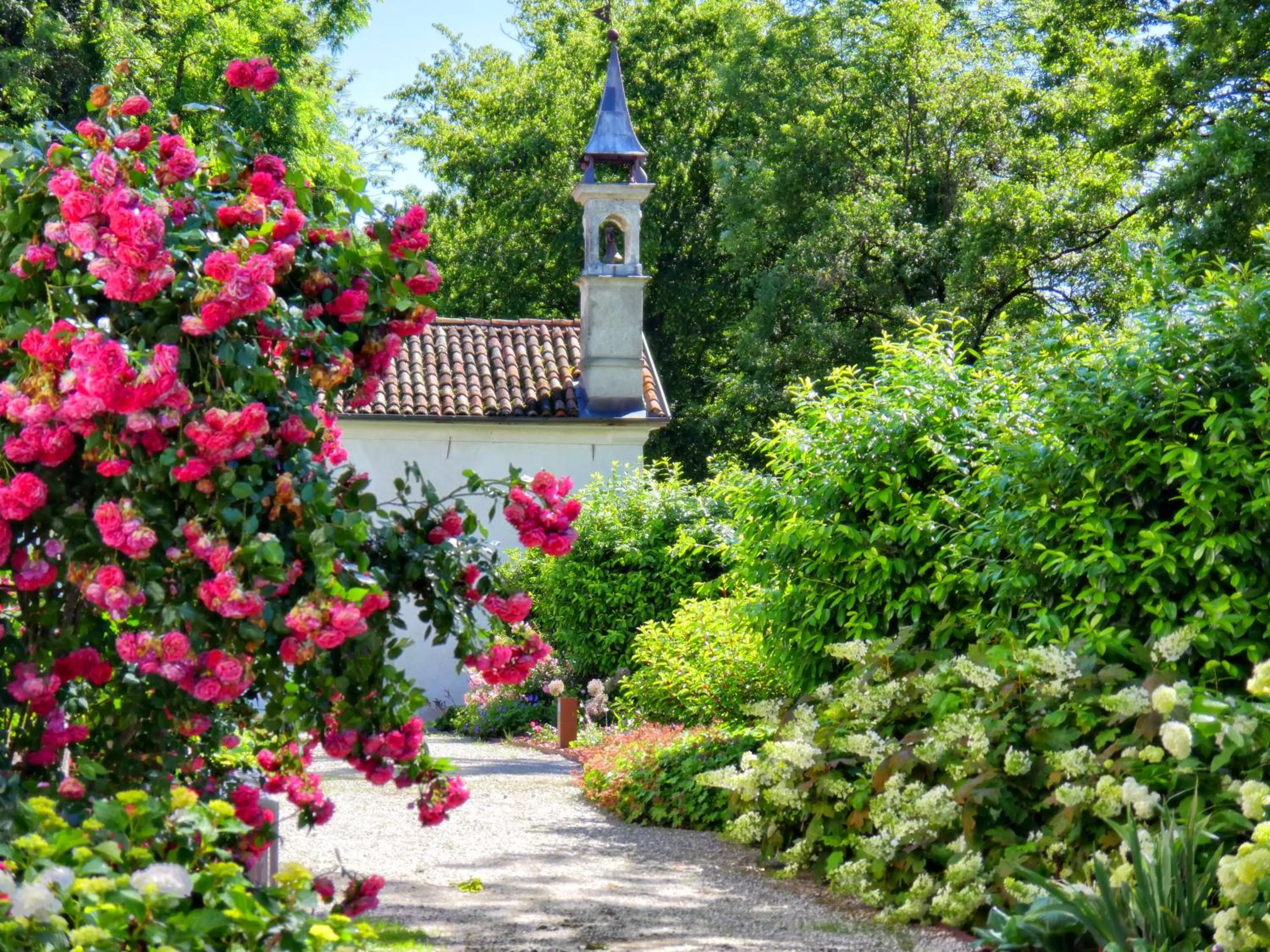 Natural landscape in Villa San Liberale - Suites & Wellness - Villa Veneta