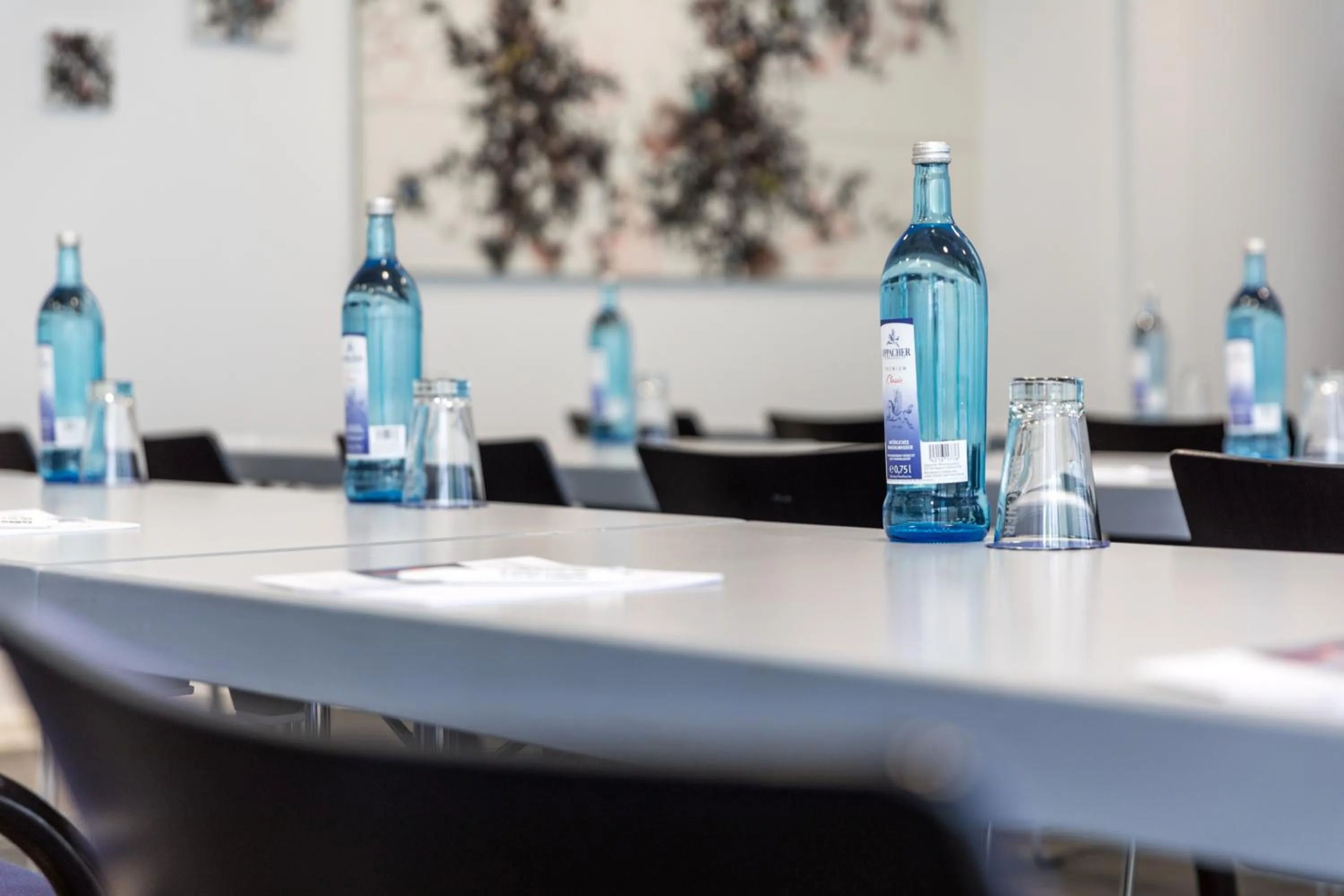 Business facilities in Galerie Hotel Leipziger Hof