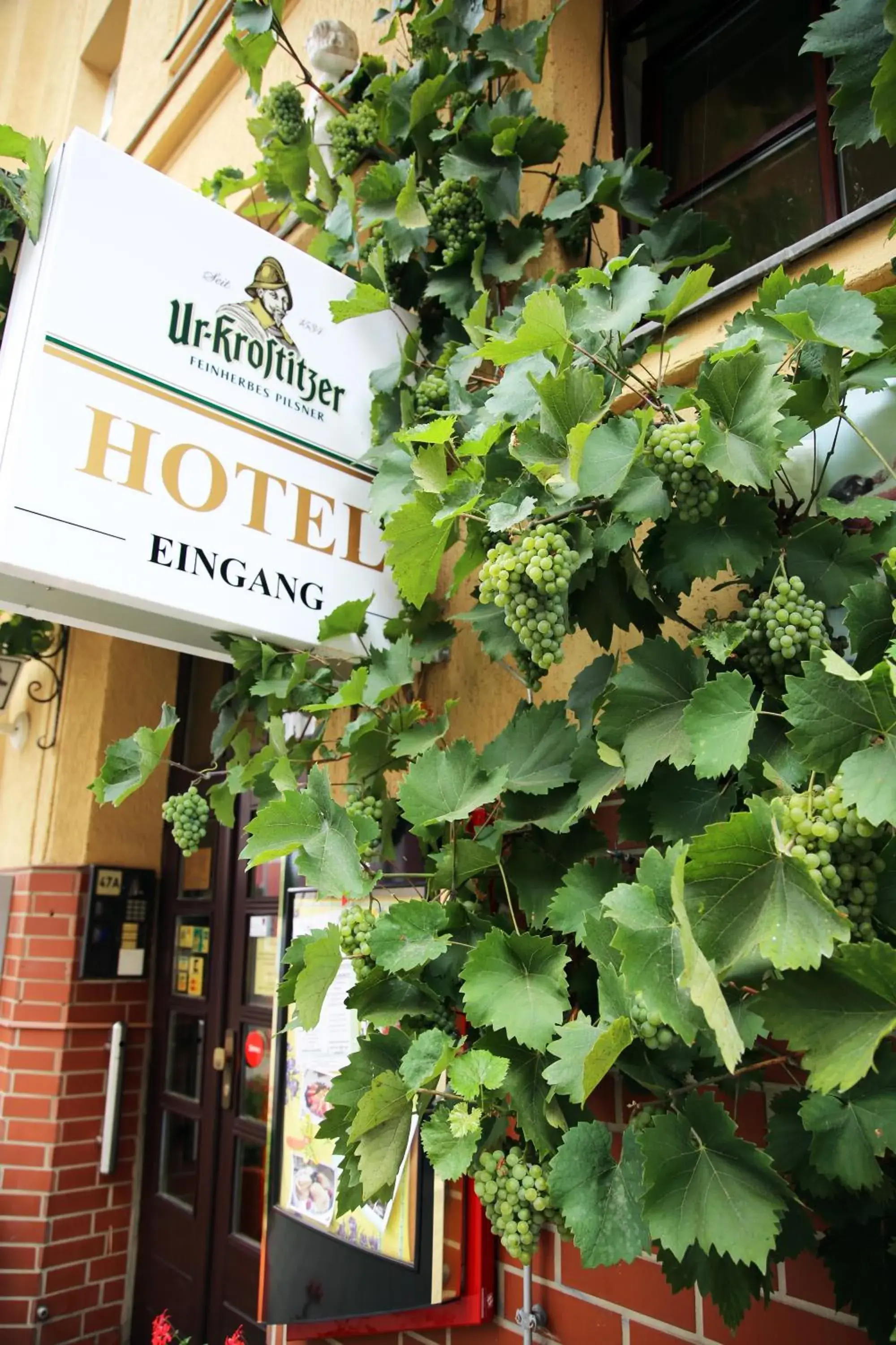 Facade/entrance in Hotel Alt-Connewitz Facade/entrance in Hotel Alt-Connewitz