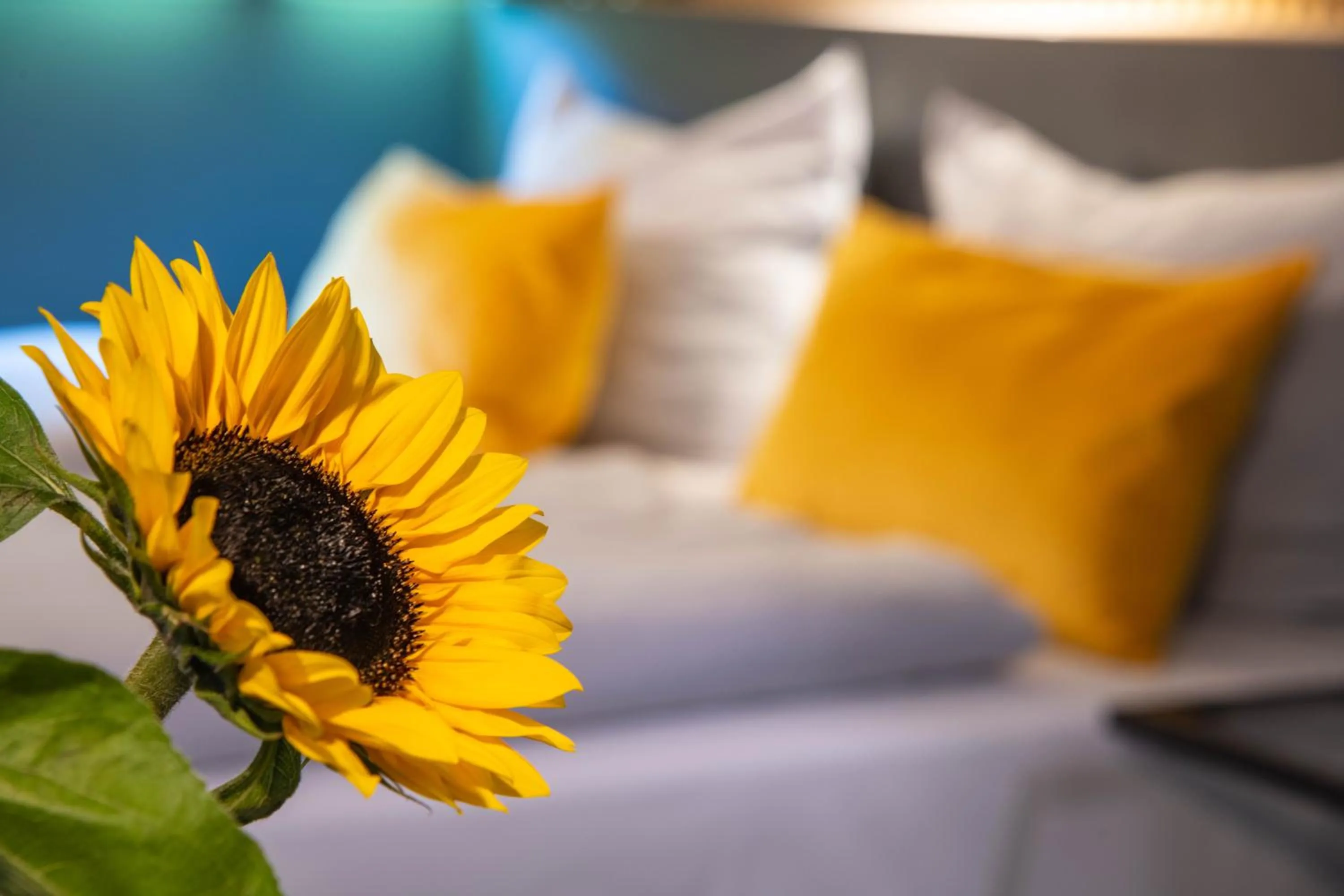 Photo of the whole room, Bed in BeeVillage Messehotel Hannover Laatzen