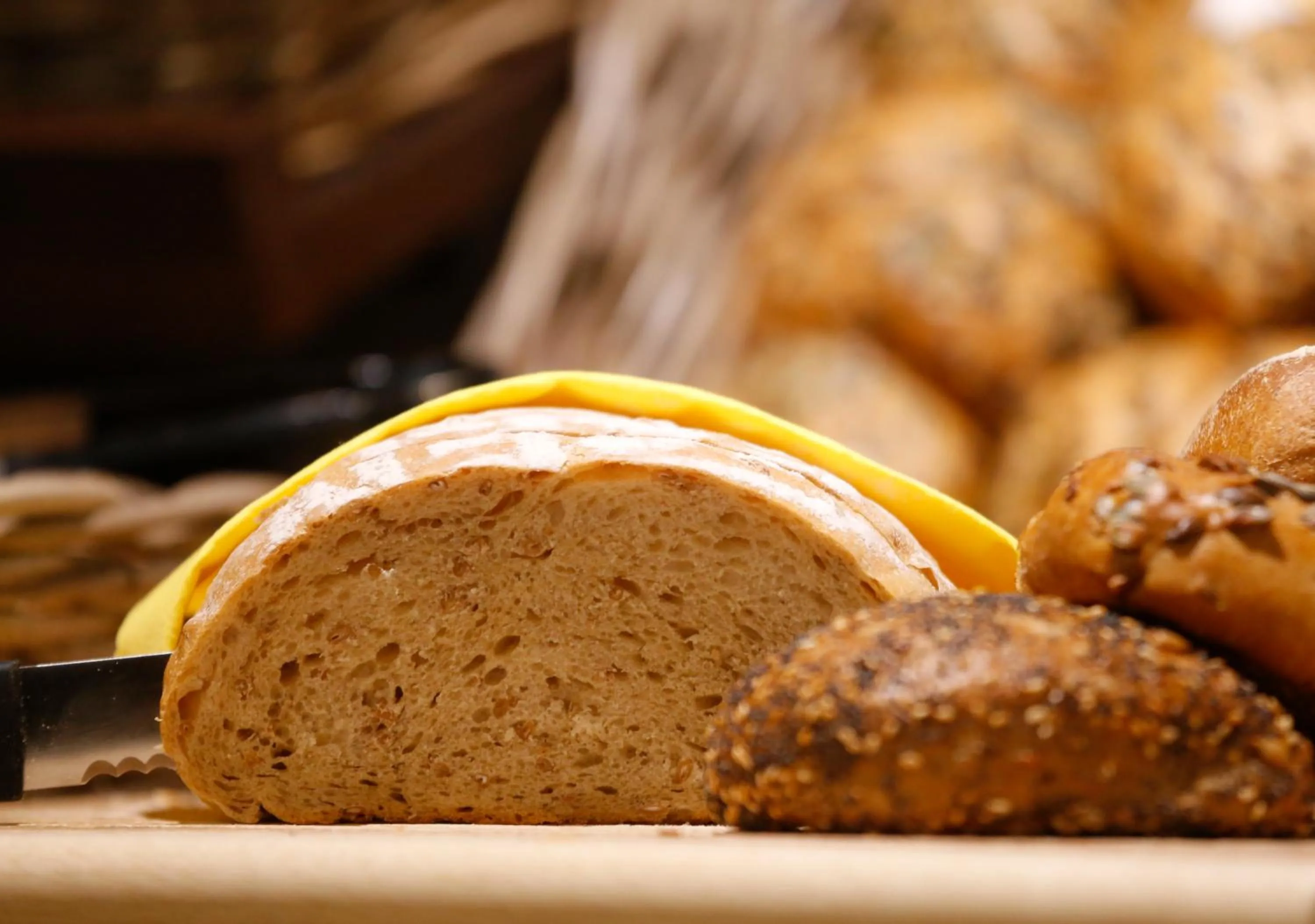 Food close-up in Wunderland Kalkar