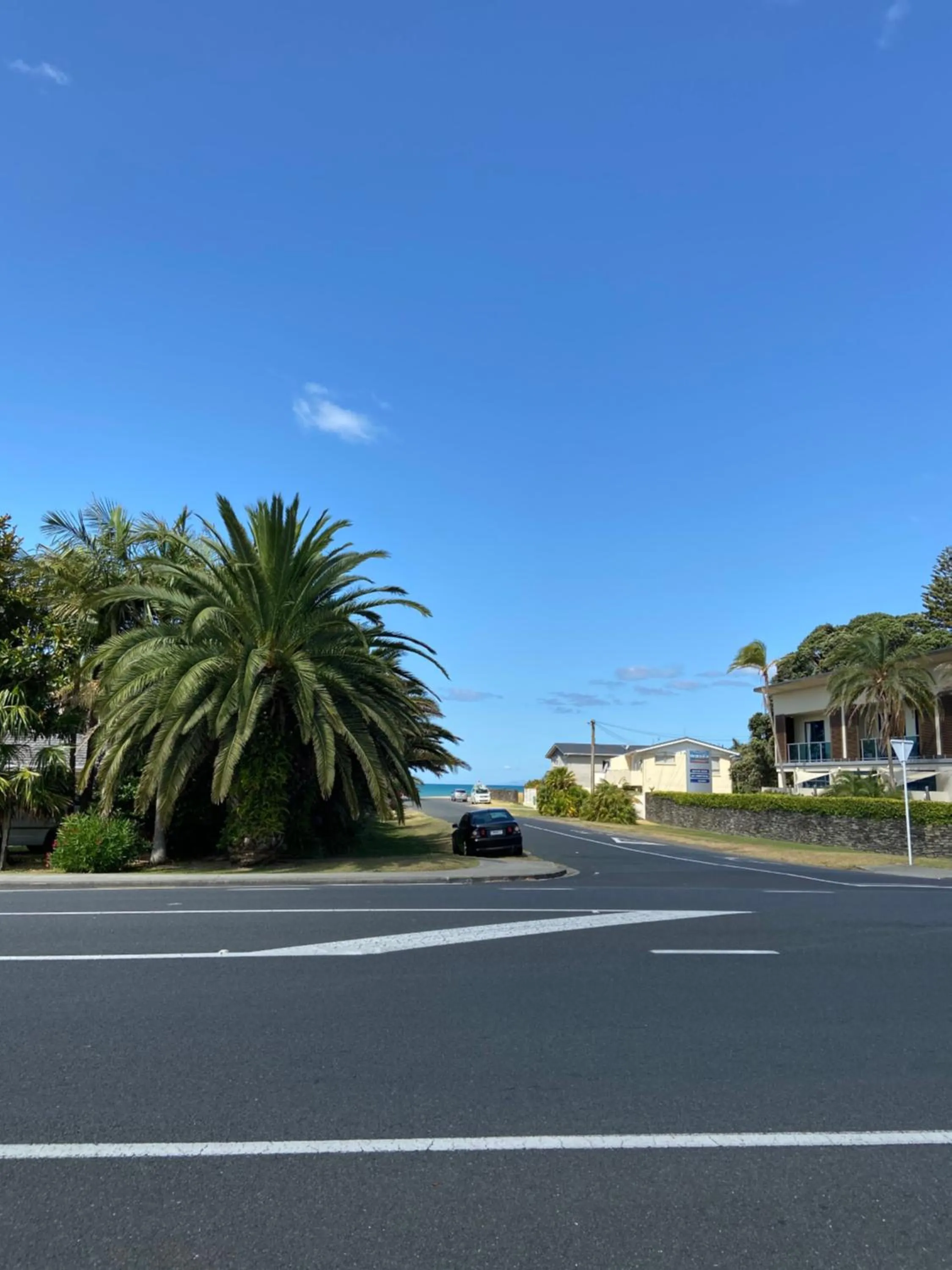 Natural landscape in Summer Inn Motel - Newly Renovated