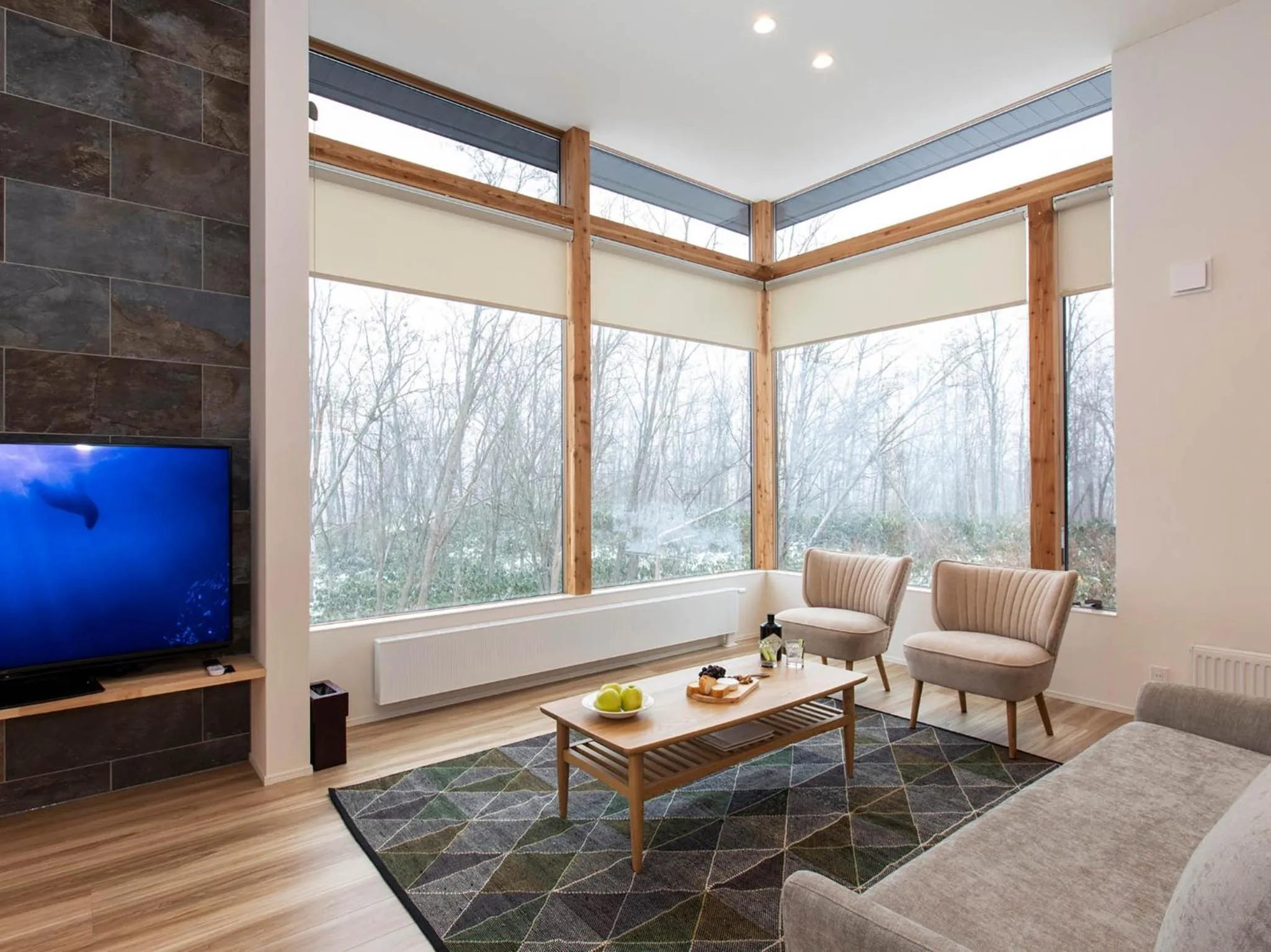 TV and multimedia in Aoyama Lodge