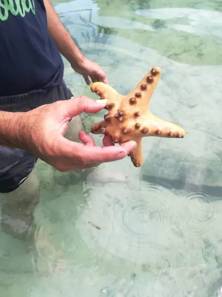 Sea Star Resort Semporna