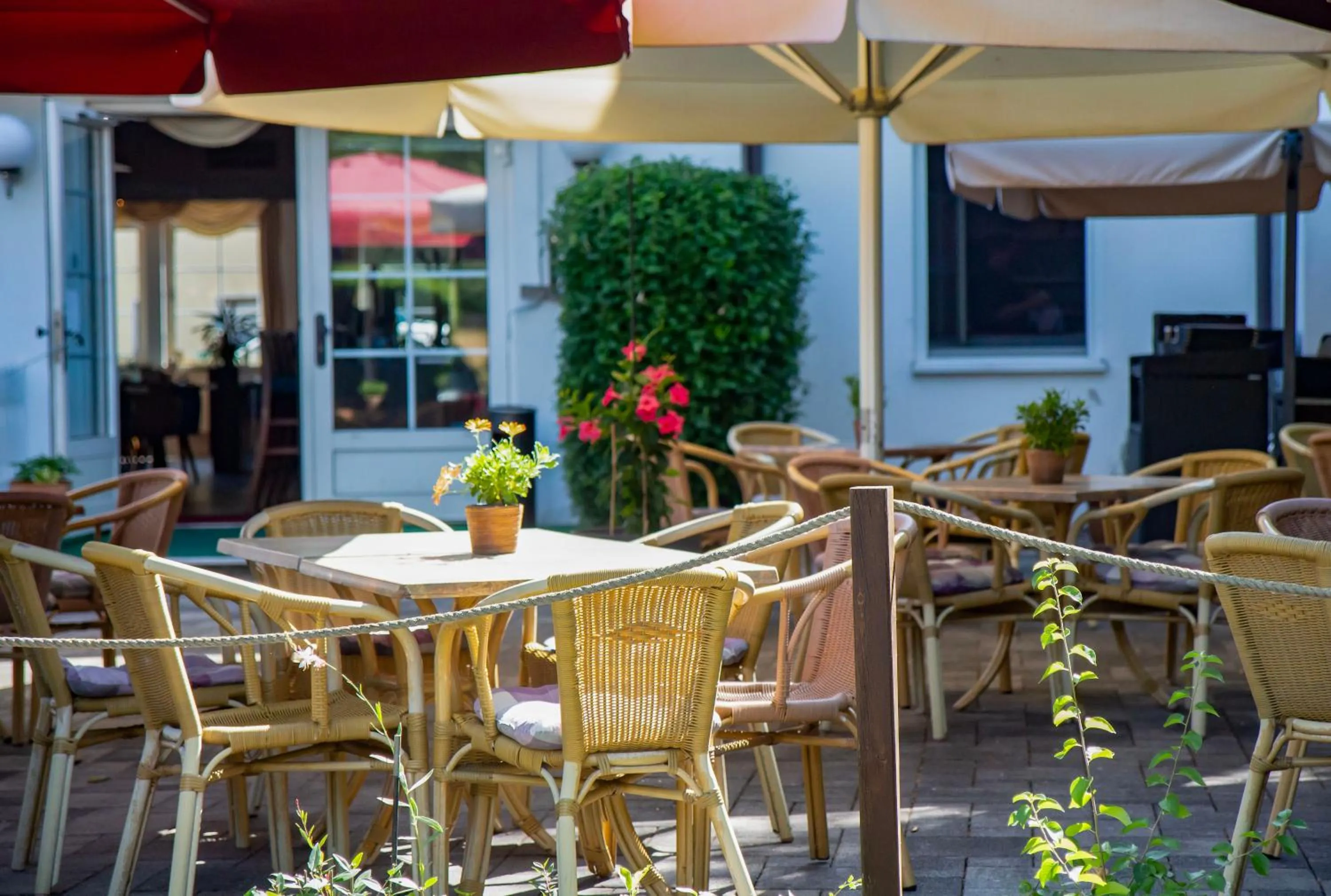 Balcony/Terrace in Hotel ELBRIVERA Alt Prester