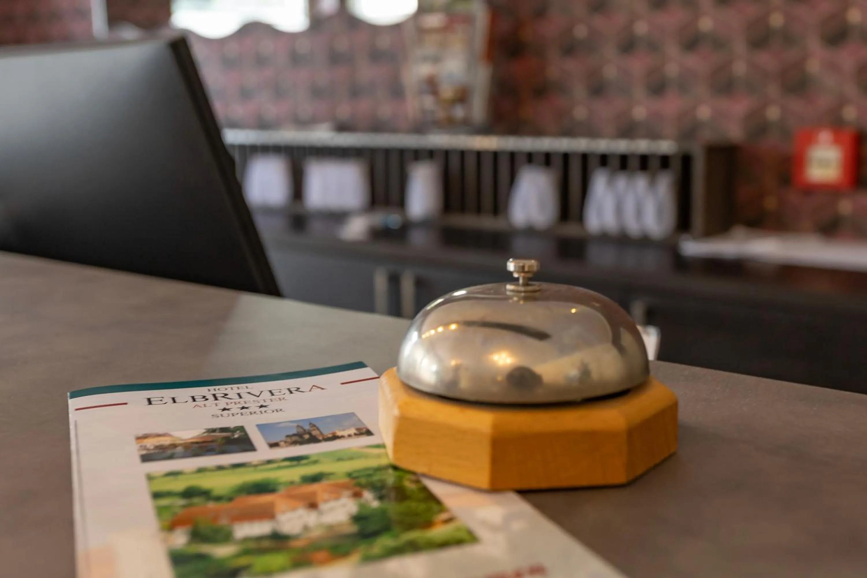 Lobby or reception in Hotel ELBRIVERA Alt Prester