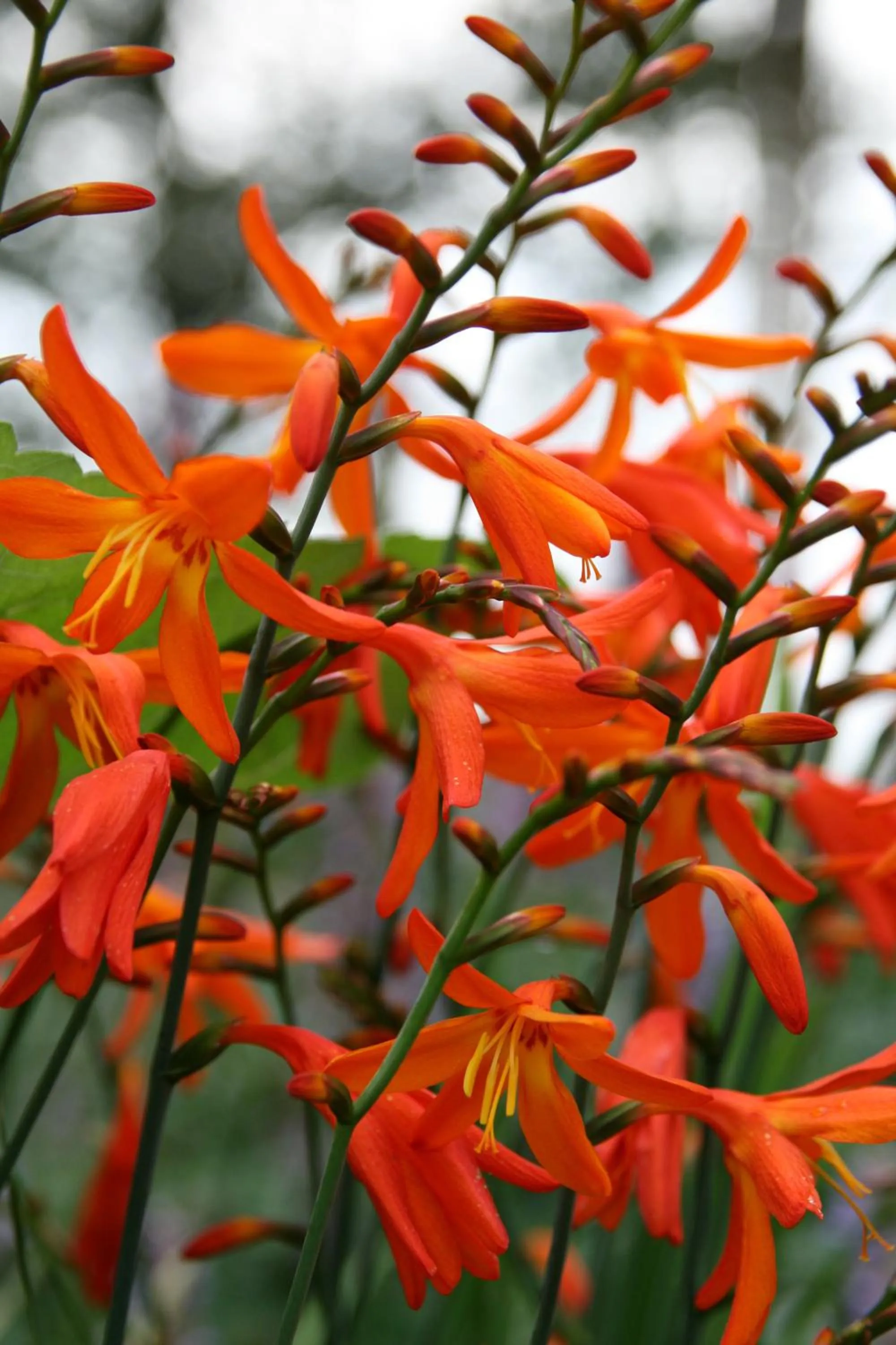 Other in Berghotel Hohe Mark