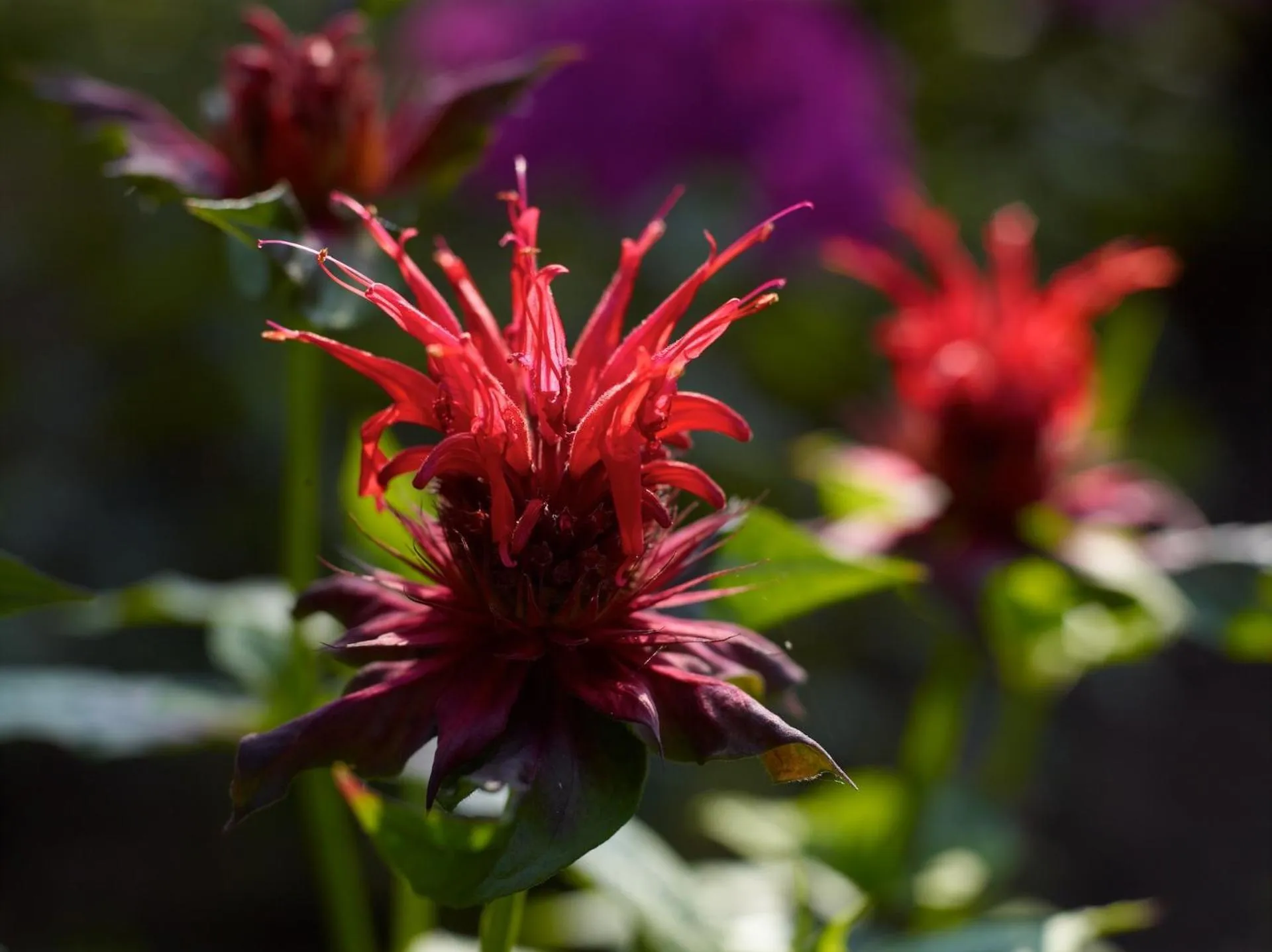 Other in Berghotel Hohe Mark