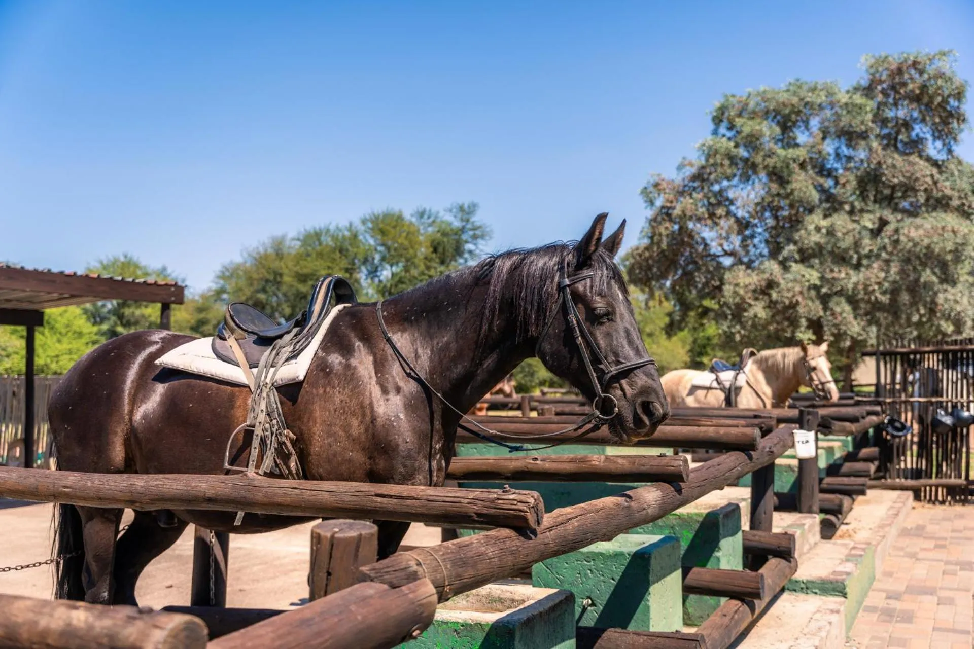 Horse-riding in ATKV Klein-Kariba