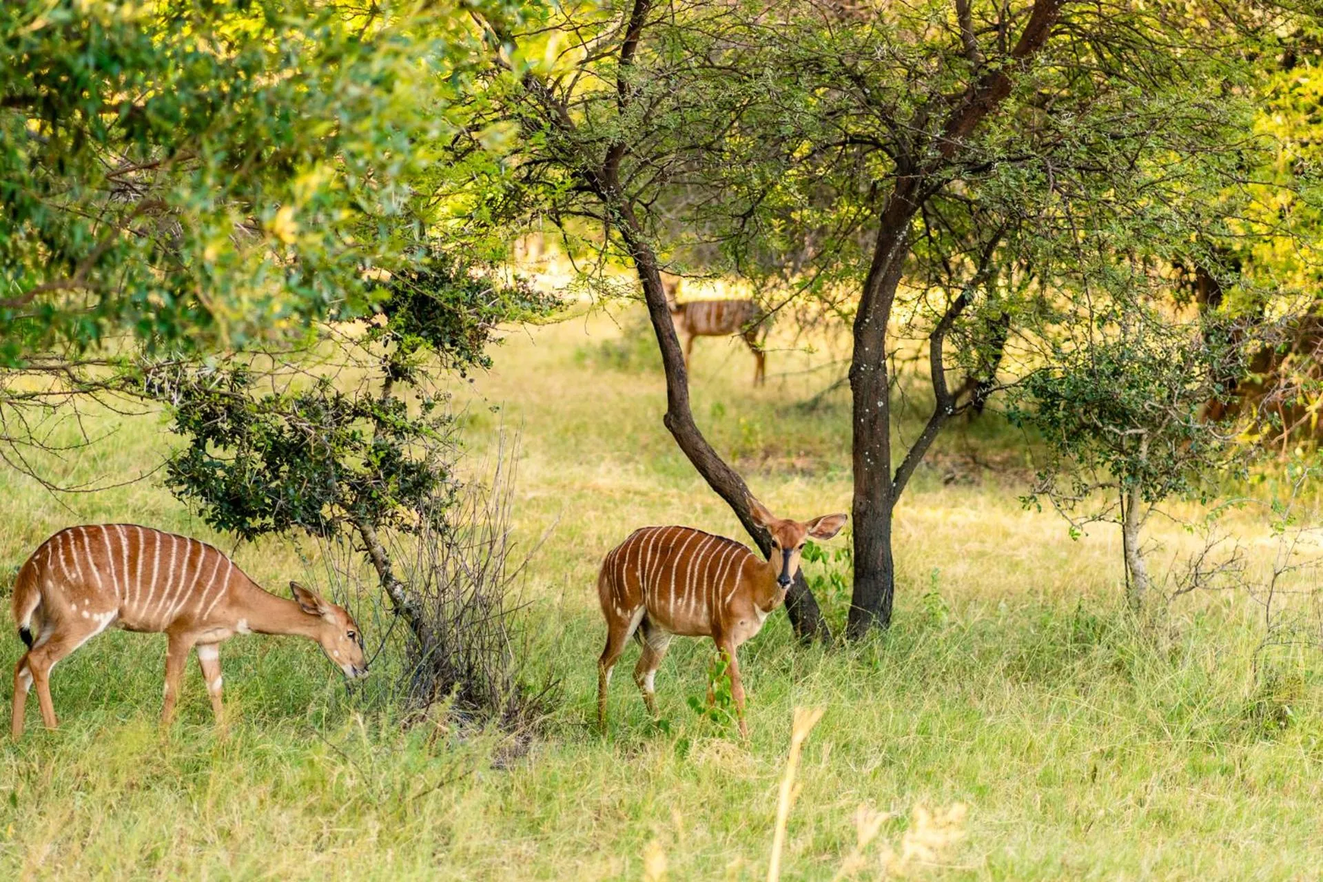 Natural landscape in ATKV Klein-Kariba