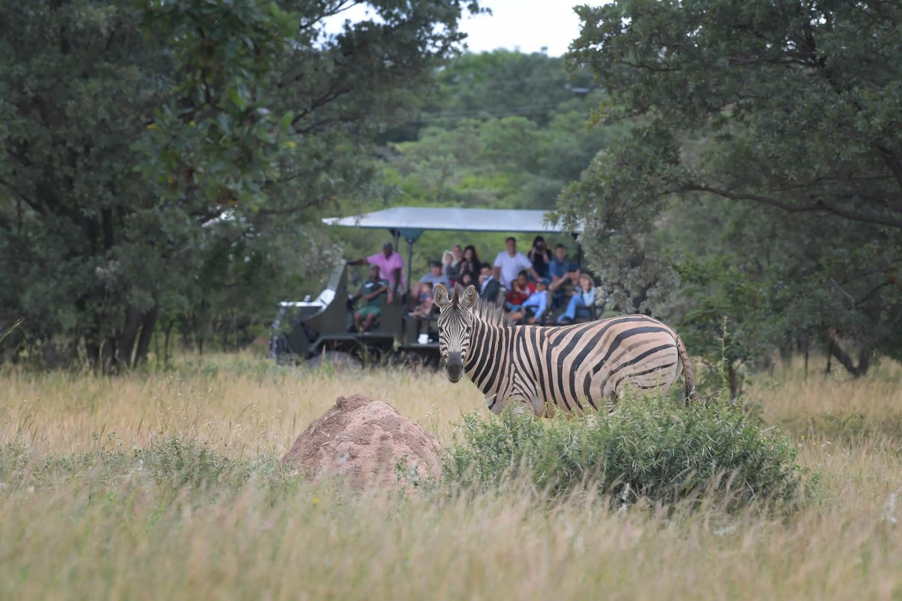 Natural landscape in ATKV Klein-Kariba