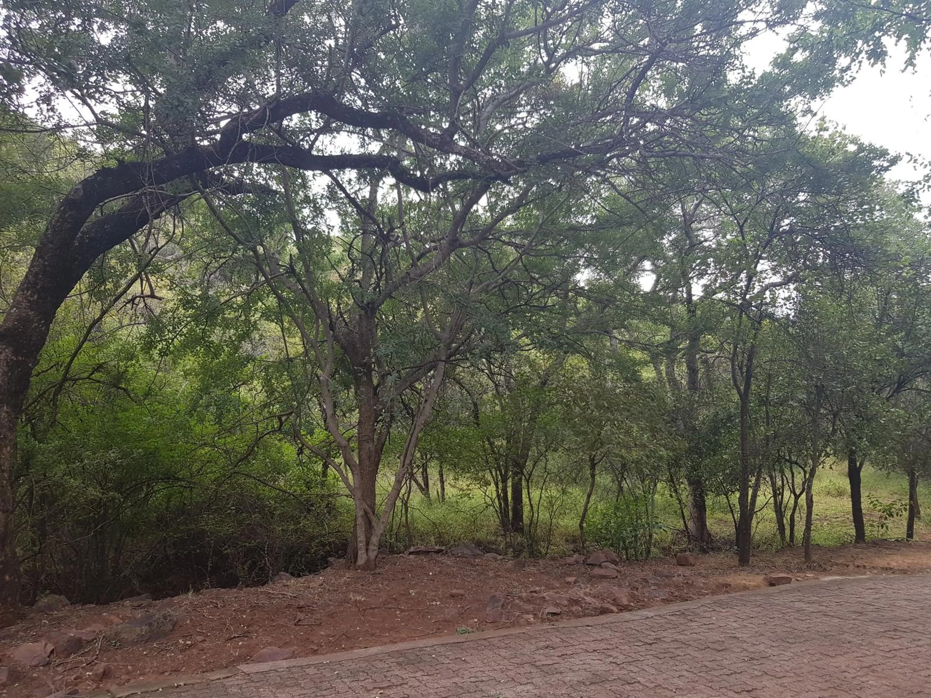 Garden in ATKV Klein-Kariba