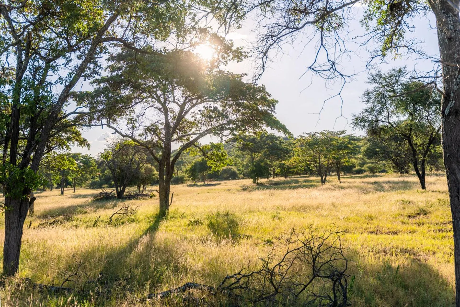 Natural landscape in ATKV Klein-Kariba