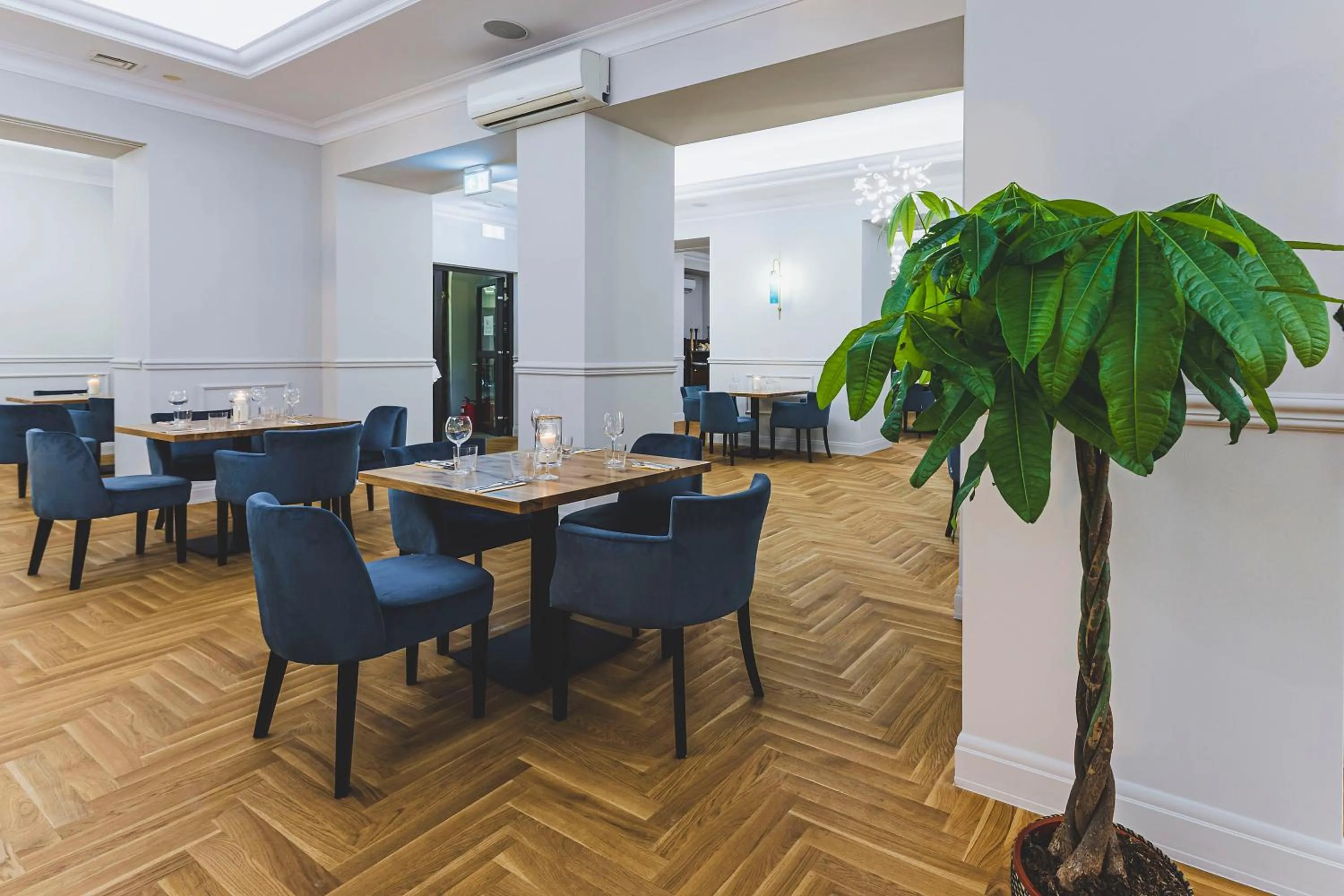 Restaurant/places to eat in Hotel Ilan