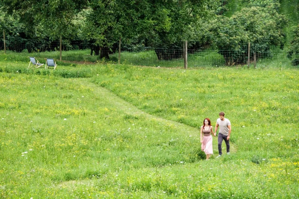 Garden view in das MEISTER