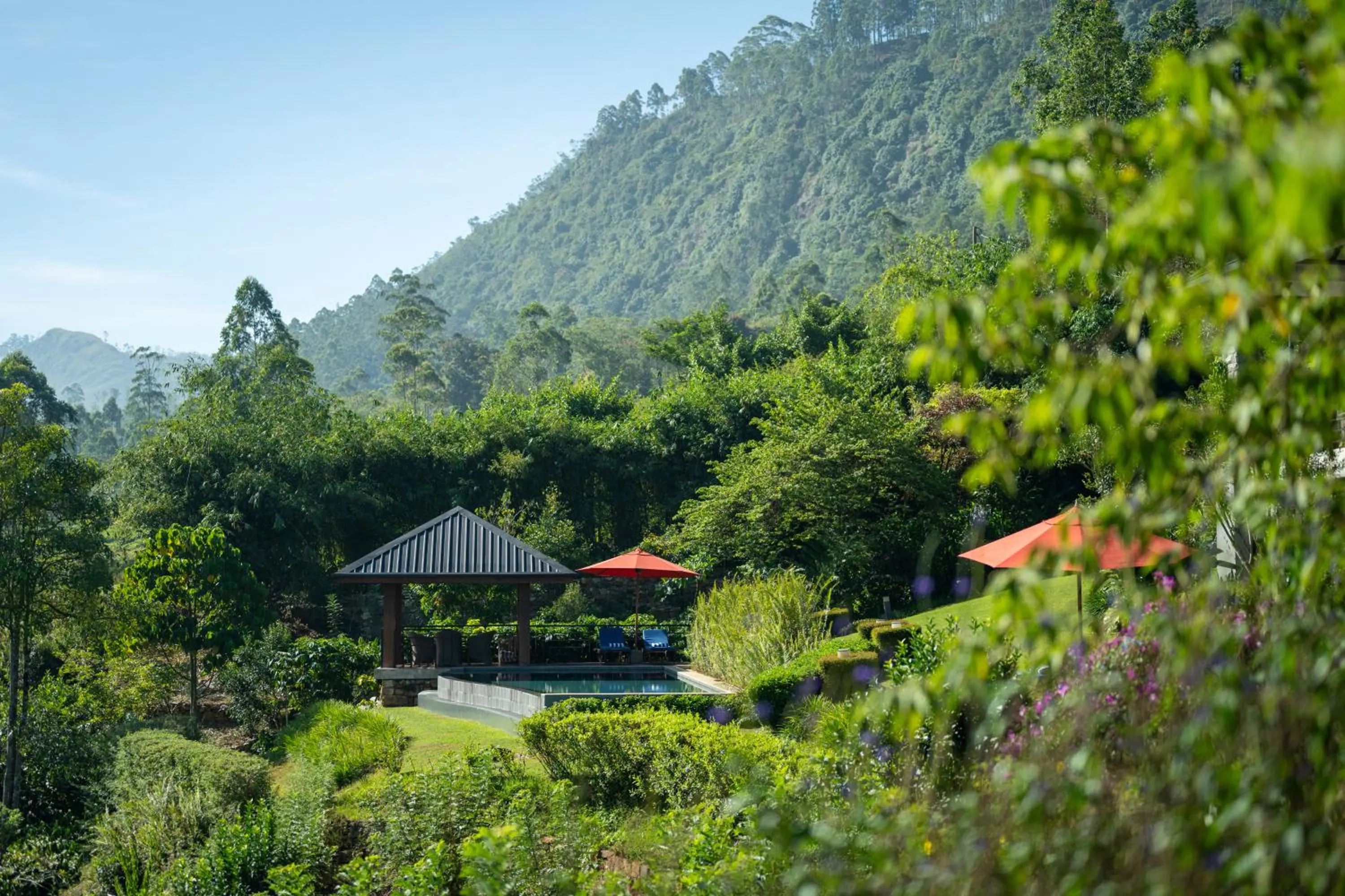 Garden in Camellia Hills