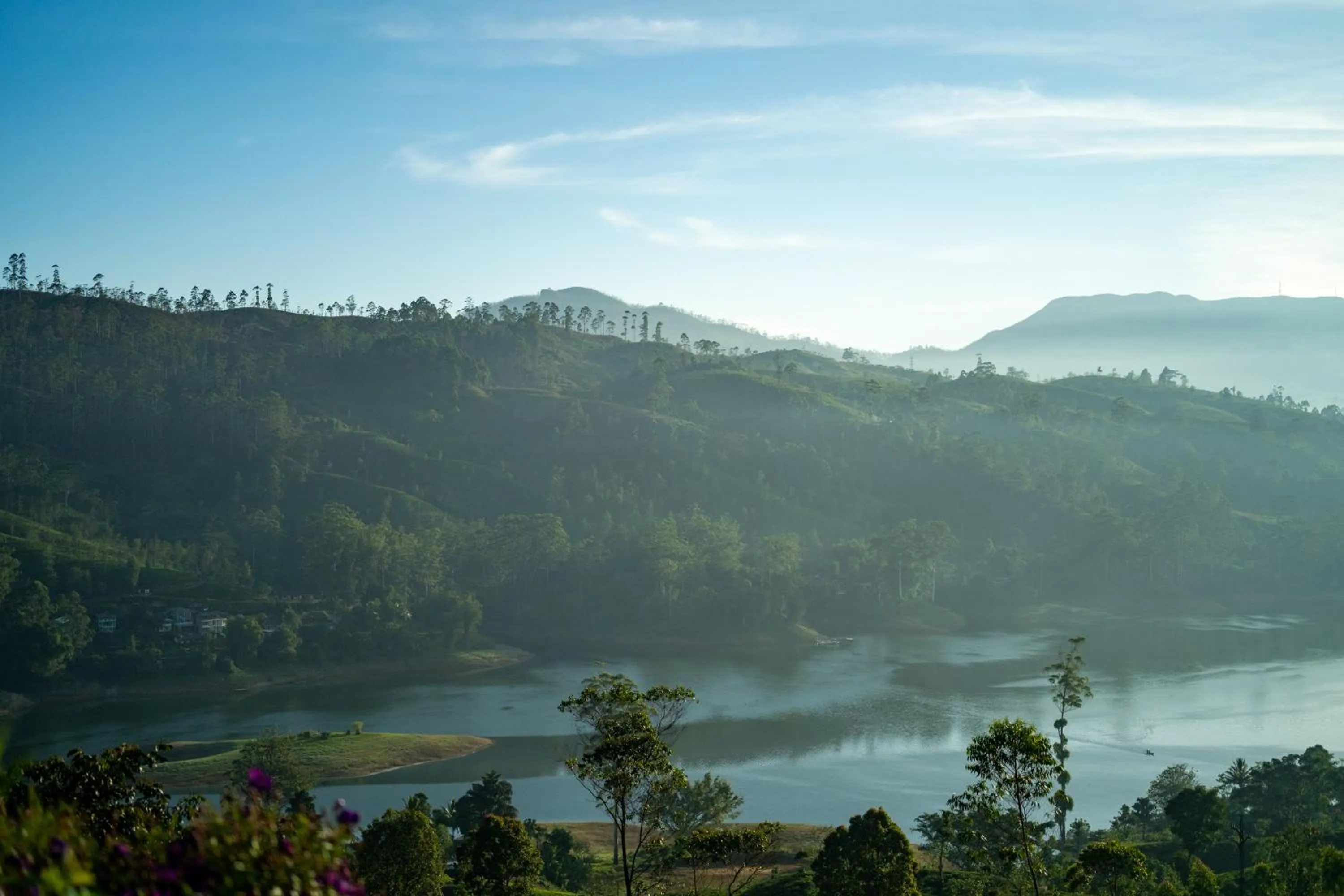 Lake view in Camellia Hills