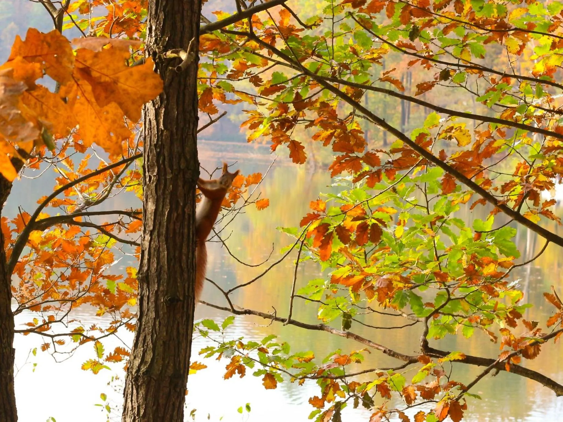 Waldsee Hotel am Wirchensee