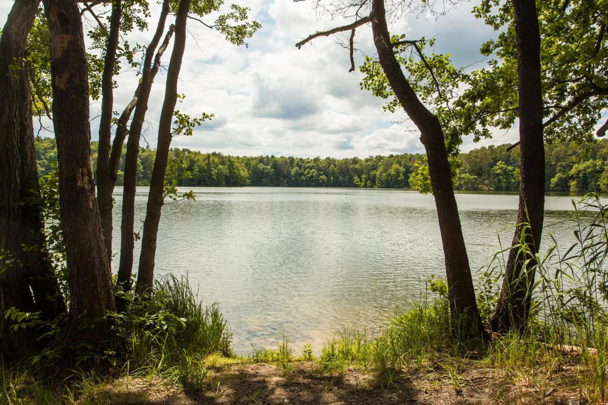 View (from property/room) in Waldsee Hotel am Wirchensee