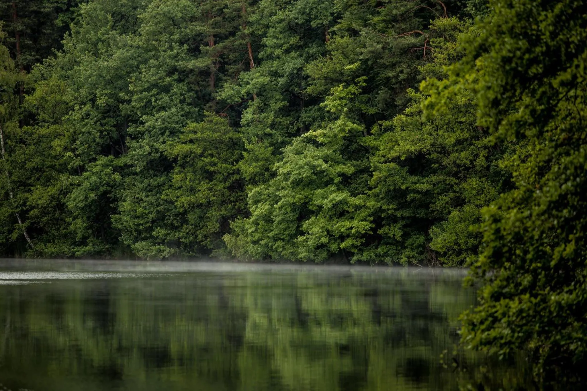 Natural landscape in Waldsee Hotel am Wirchensee