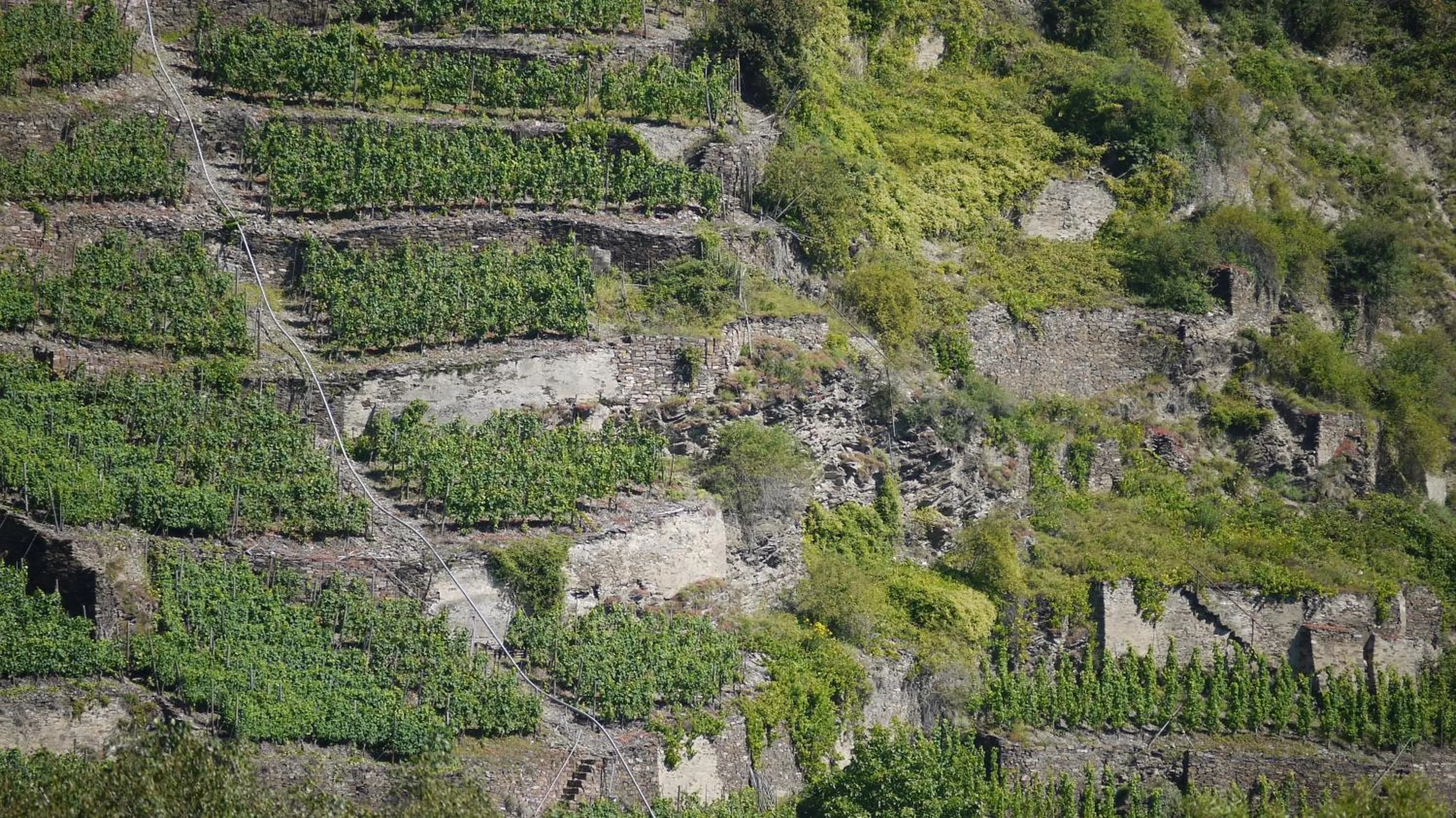 Natural landscape in Hotel-garni-Kachelburg