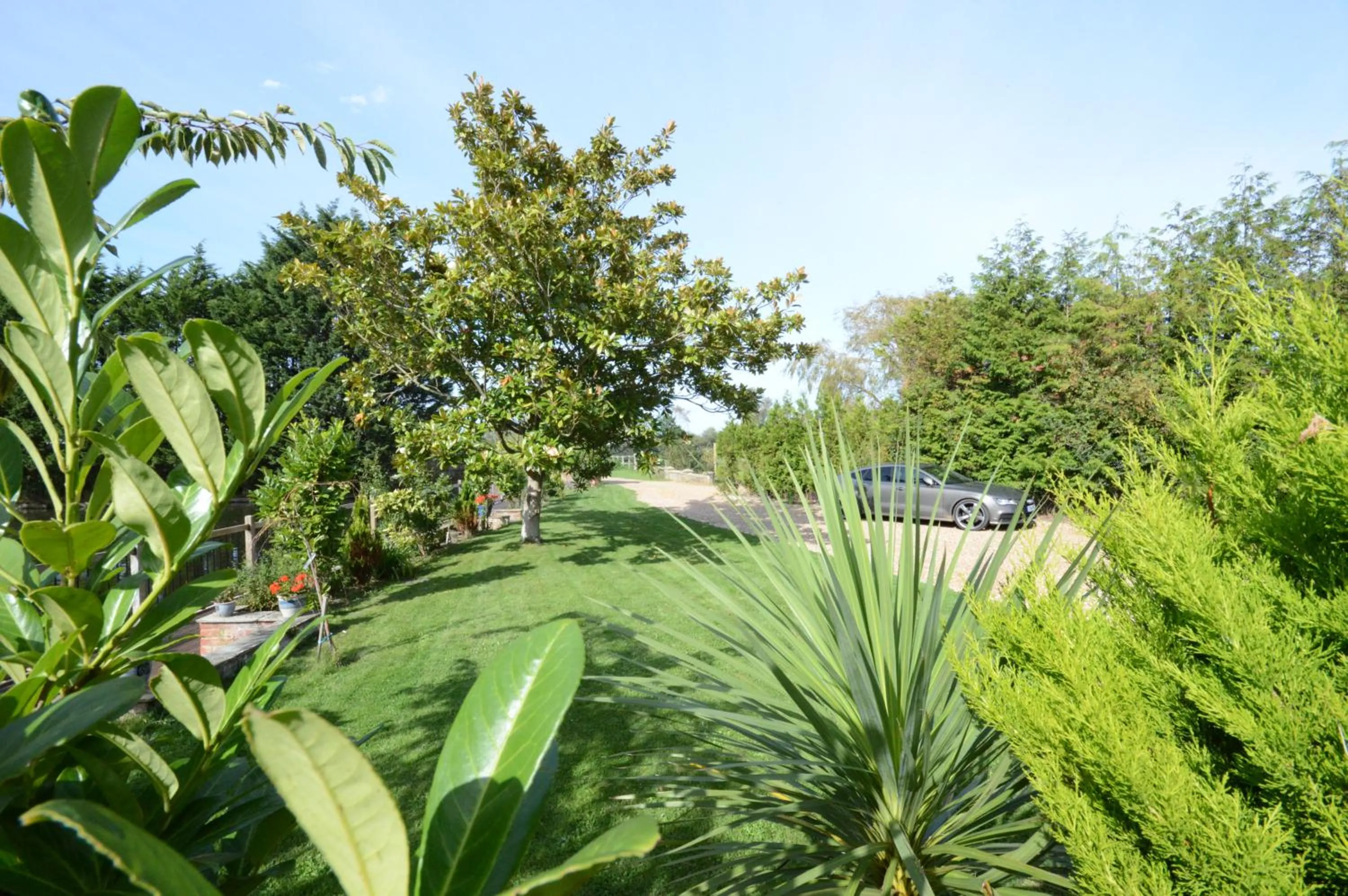 Natural landscape in Lakeside Old Hunstanton