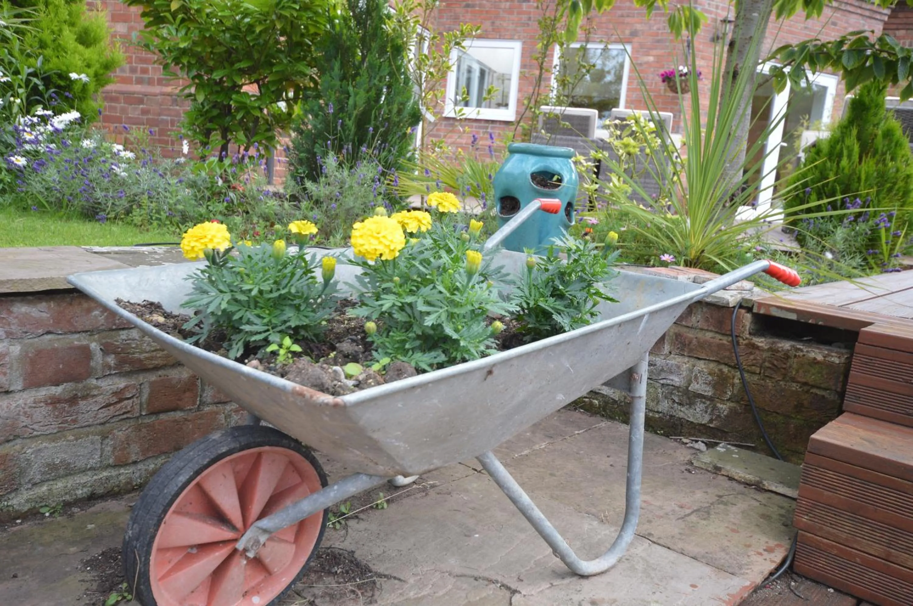 Garden in Lakeside Old Hunstanton