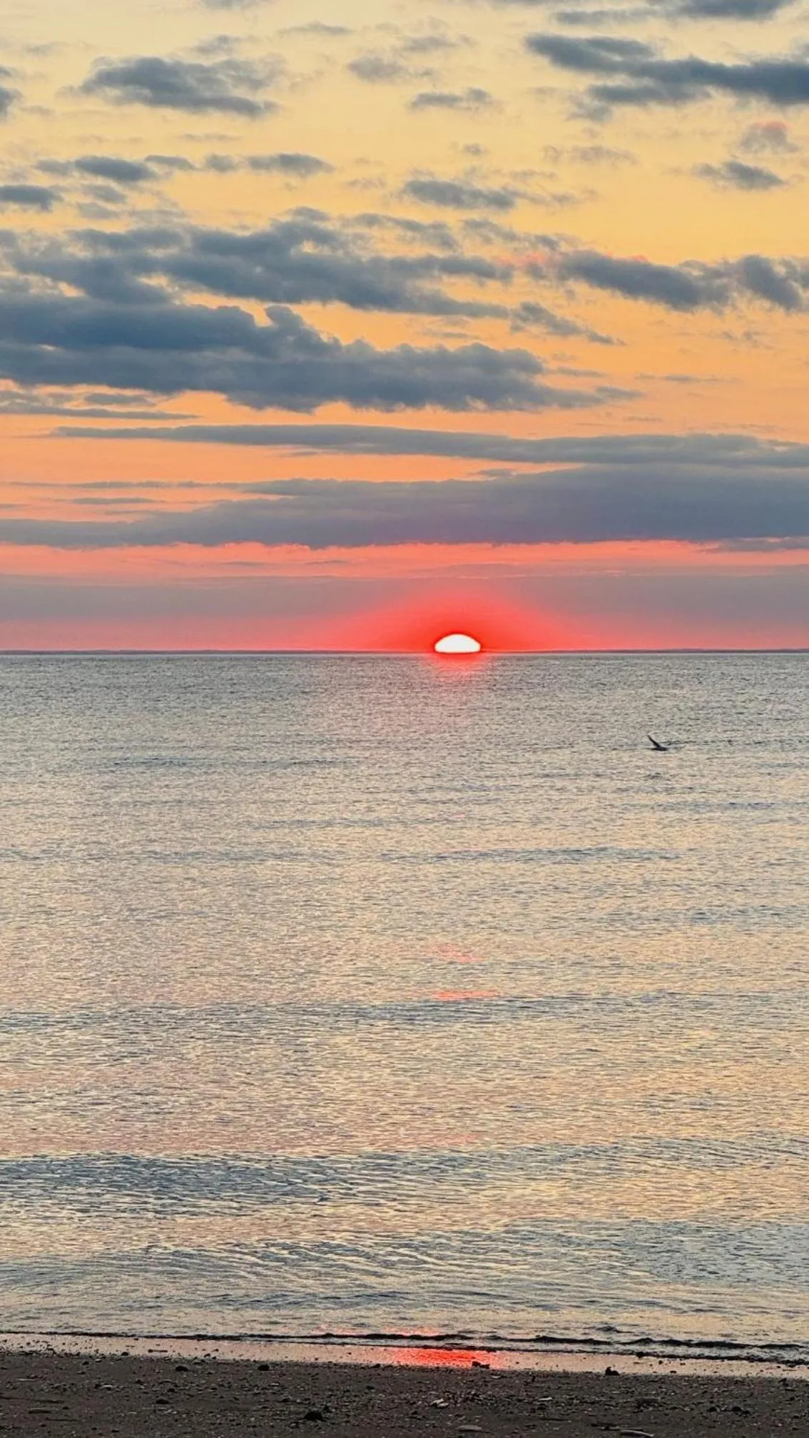 Beach in Lakeside Old Hunstanton