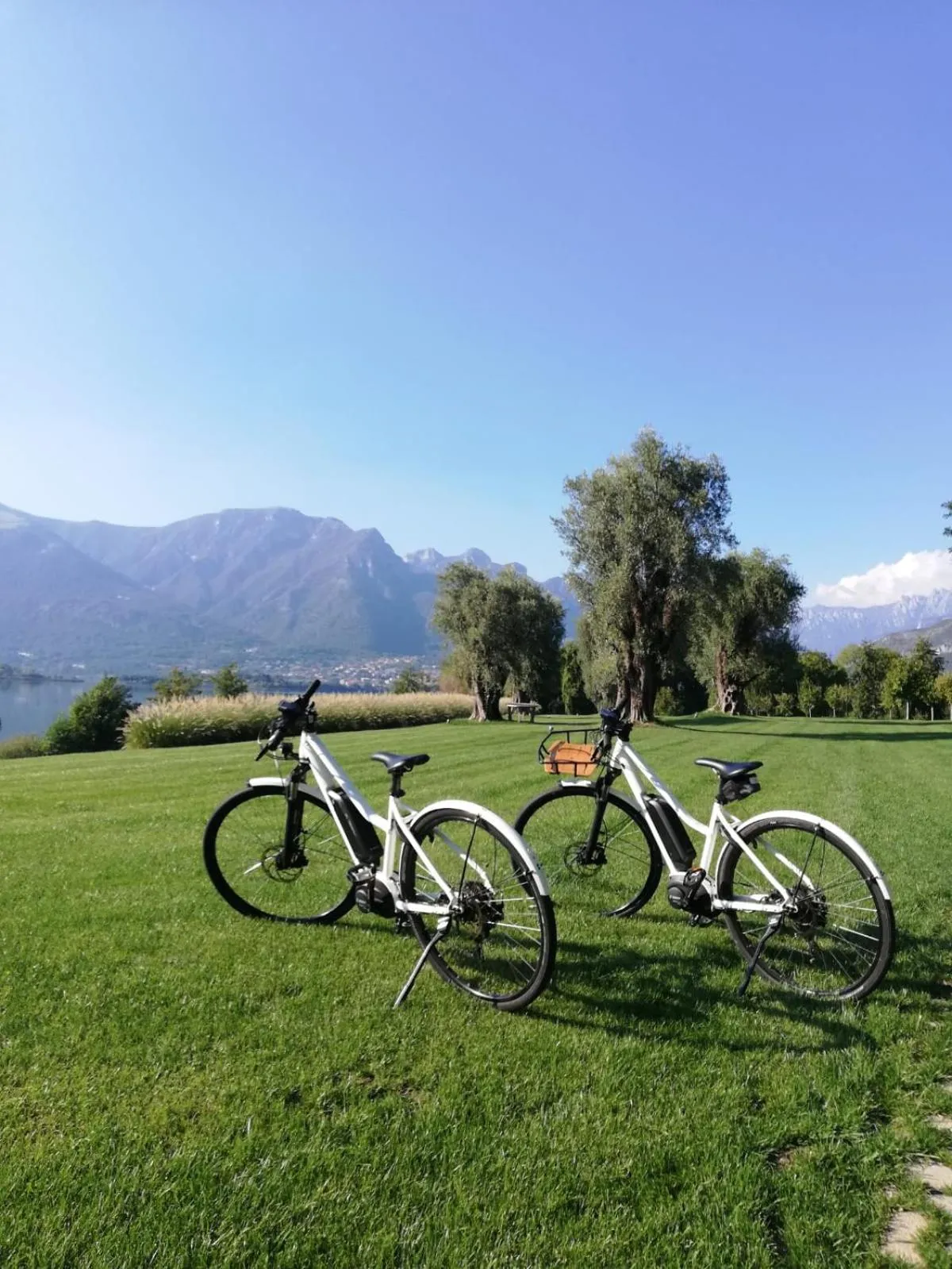 Garden in Bianca Relais, by R Collection Hotels