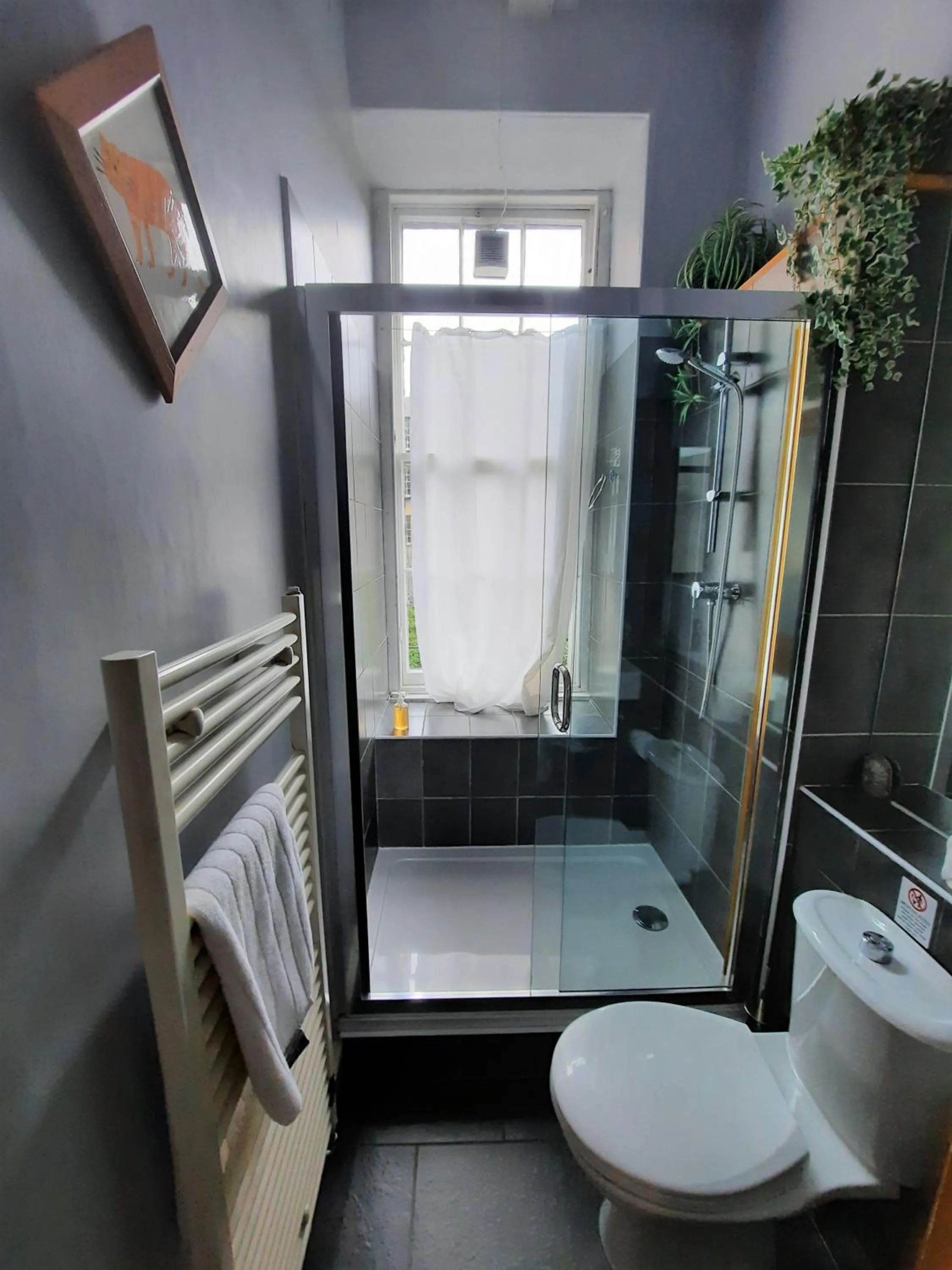 Shower in Cornwall Street - 297
