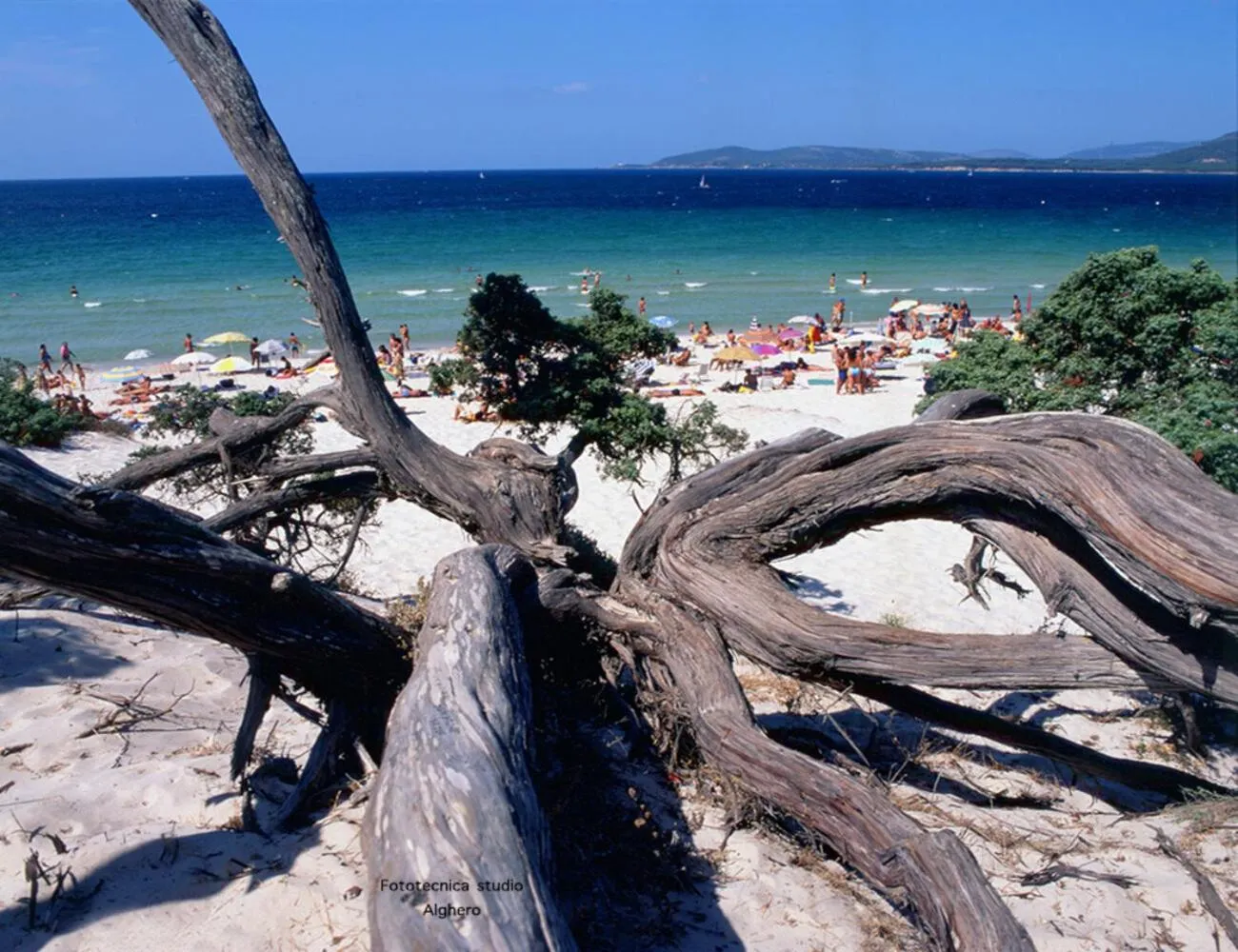 Natural landscape in B&B LaMarina