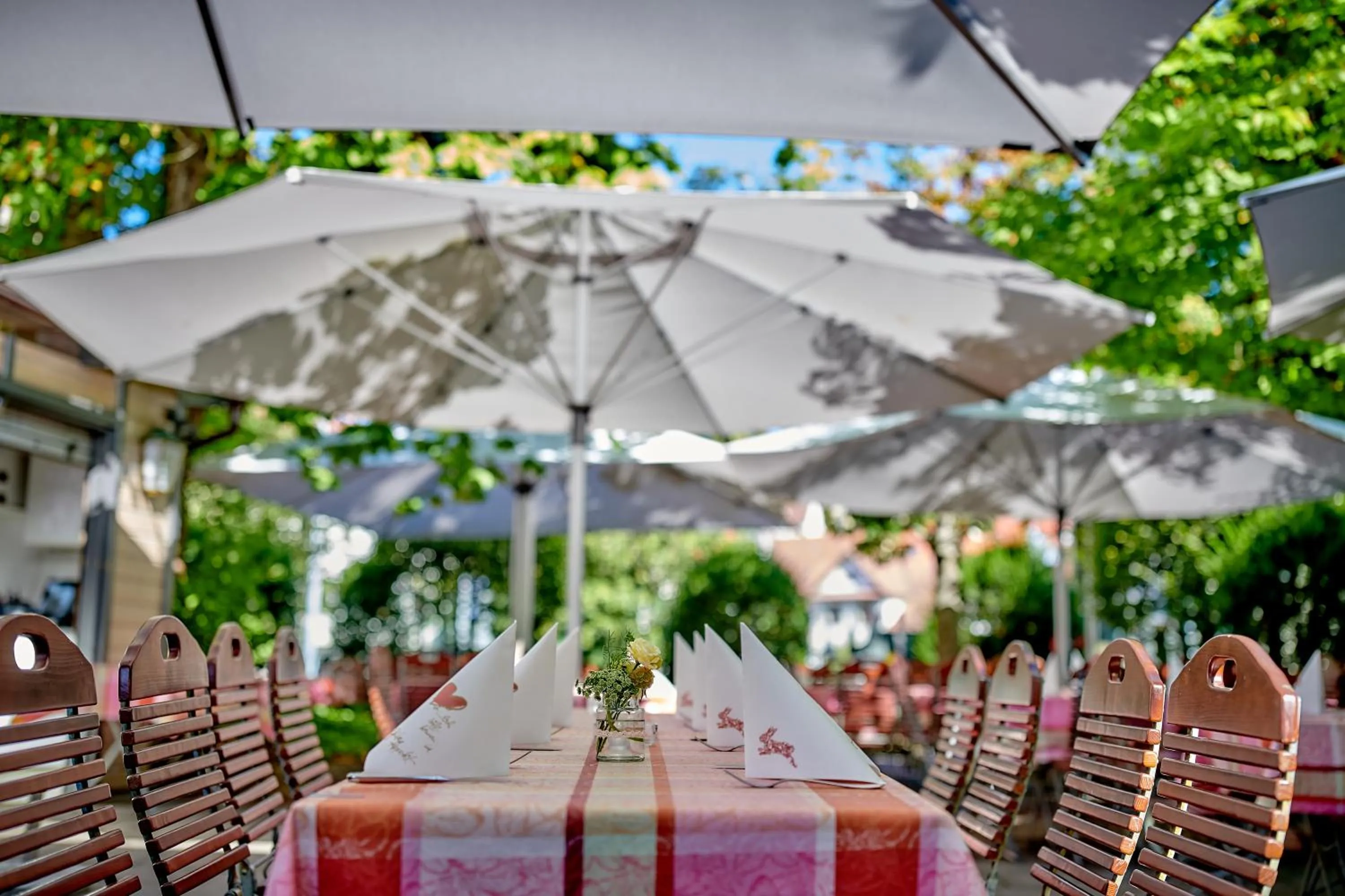 Restaurant/places to eat in Ringhotel Gasthof Hasen