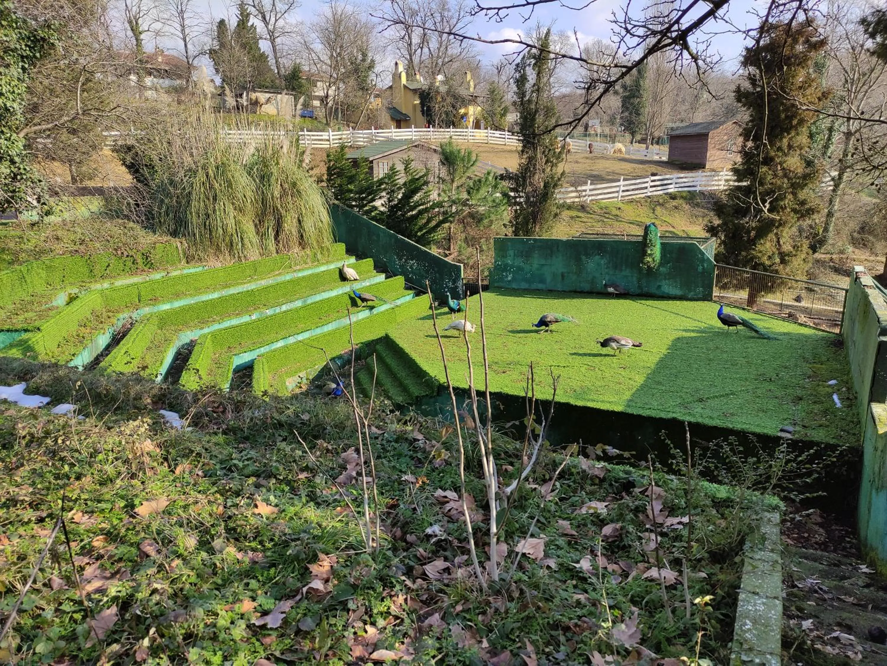 Garden in Polonezköy Country Club & Accommodation in the Wildlife Park!