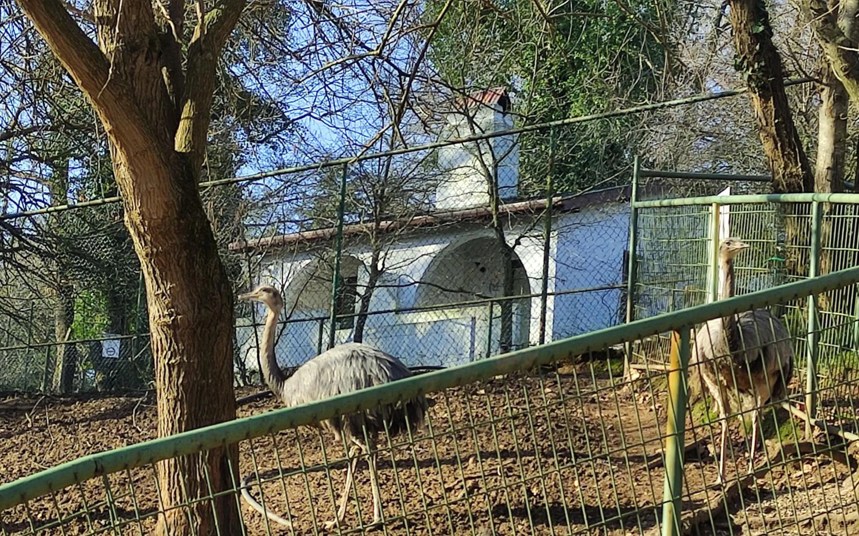 Garden in Polonezköy Country Club & Accommodation in the Wildlife Park!