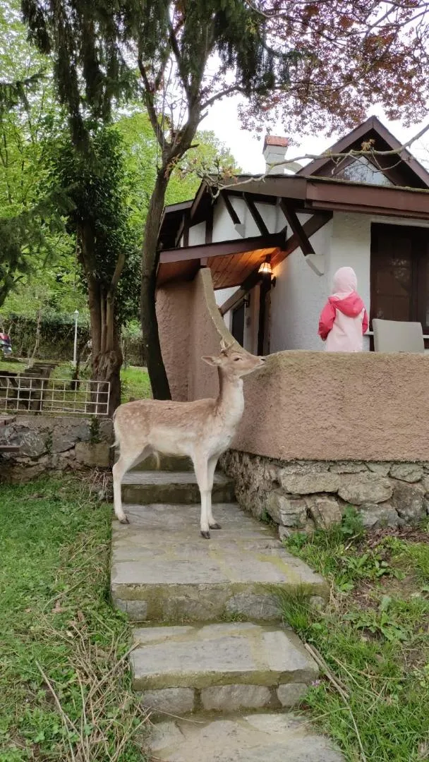 BBQ facilities in Polonezköy Country Club & Accommodation in the Wildlife Park!