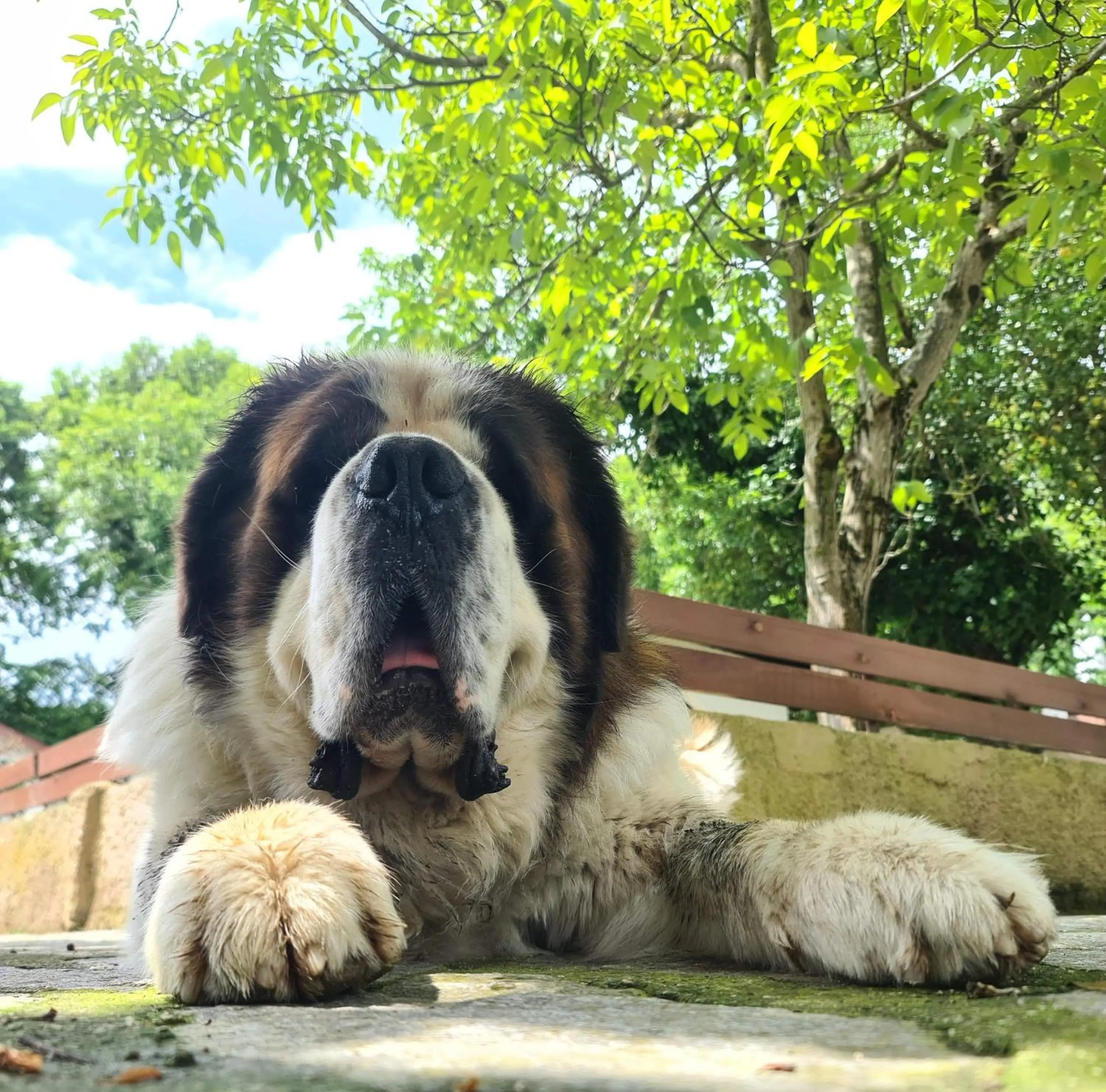 Animals in Polonezköy Country Club & Accommodation in the Wildlife Park!