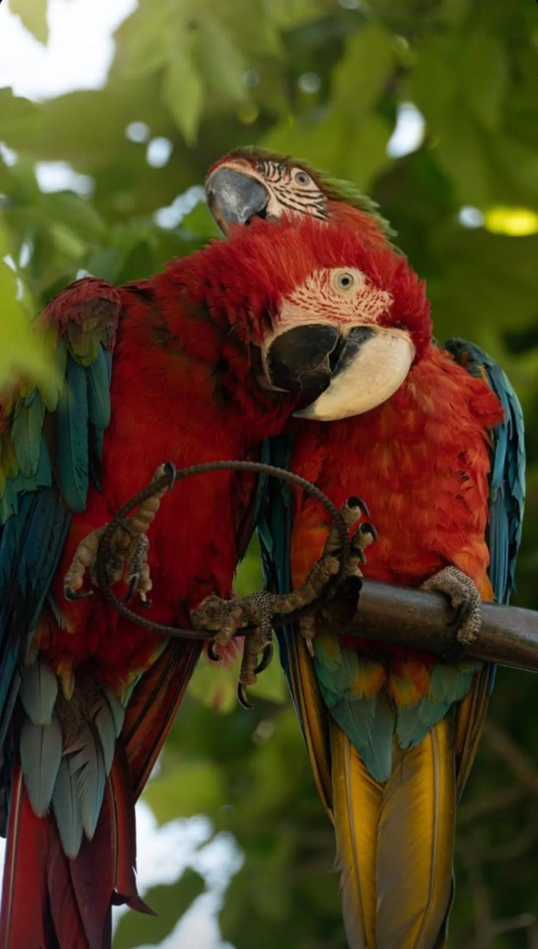 Natural landscape in Polonezköy Country Club & Accommodation in the Wildlife Park!