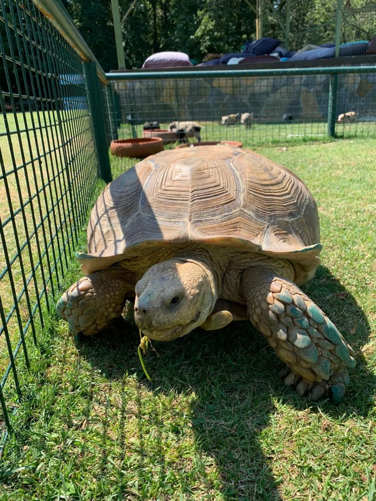 Garden in Polonezköy Country Club & Accommodation in the Wildlife Park!