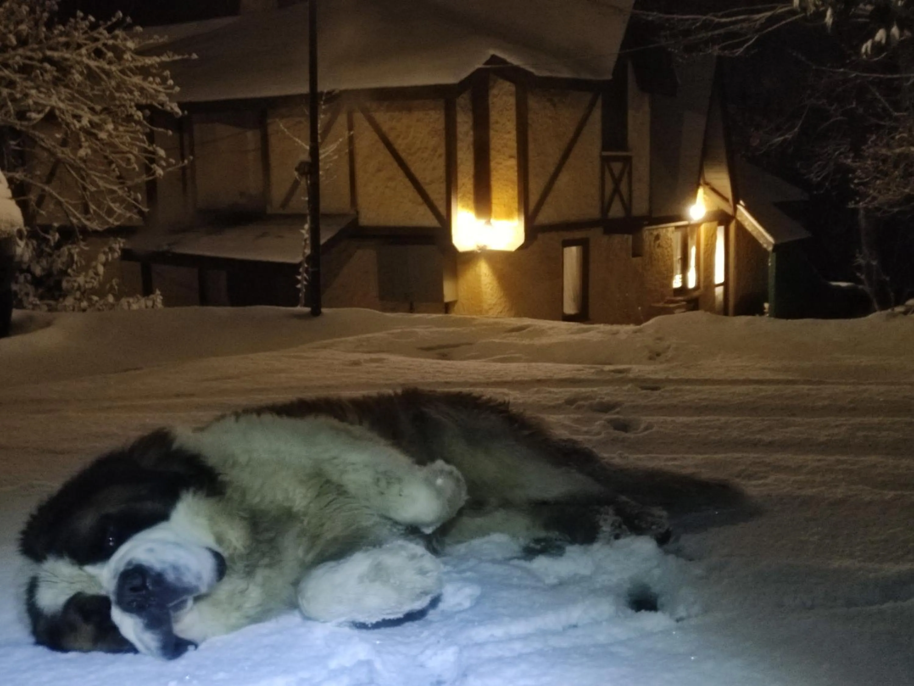 Garden in Polonezköy Country Club & Accommodation in the Wildlife Park!