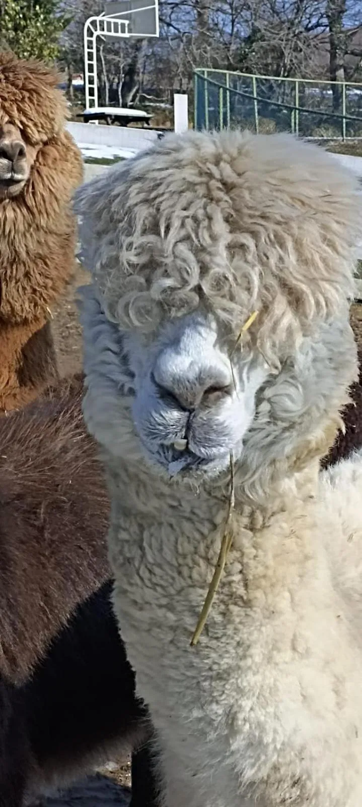 Property building in Polonezköy Country Club & Accommodation in the Wildlife Park!