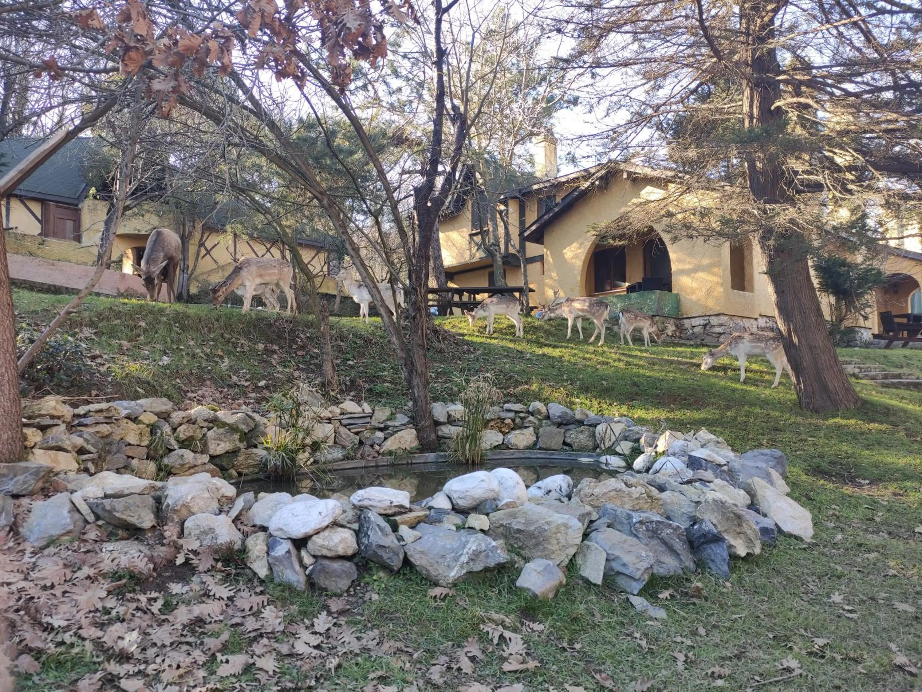 Patio in Polonezköy Country Club & Accommodation in the Wildlife Park!