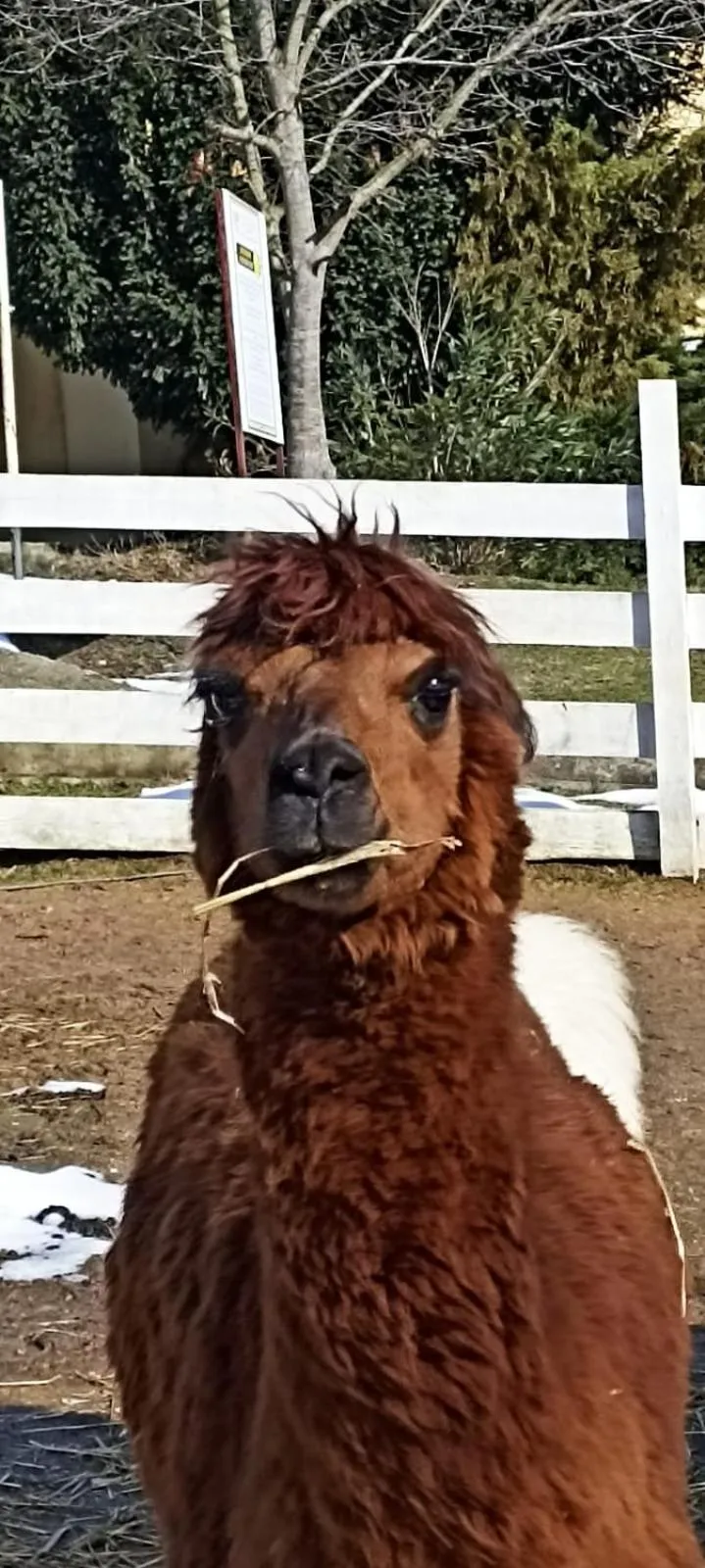 Property building in Polonezköy Country Club & Accommodation in the Wildlife Park!