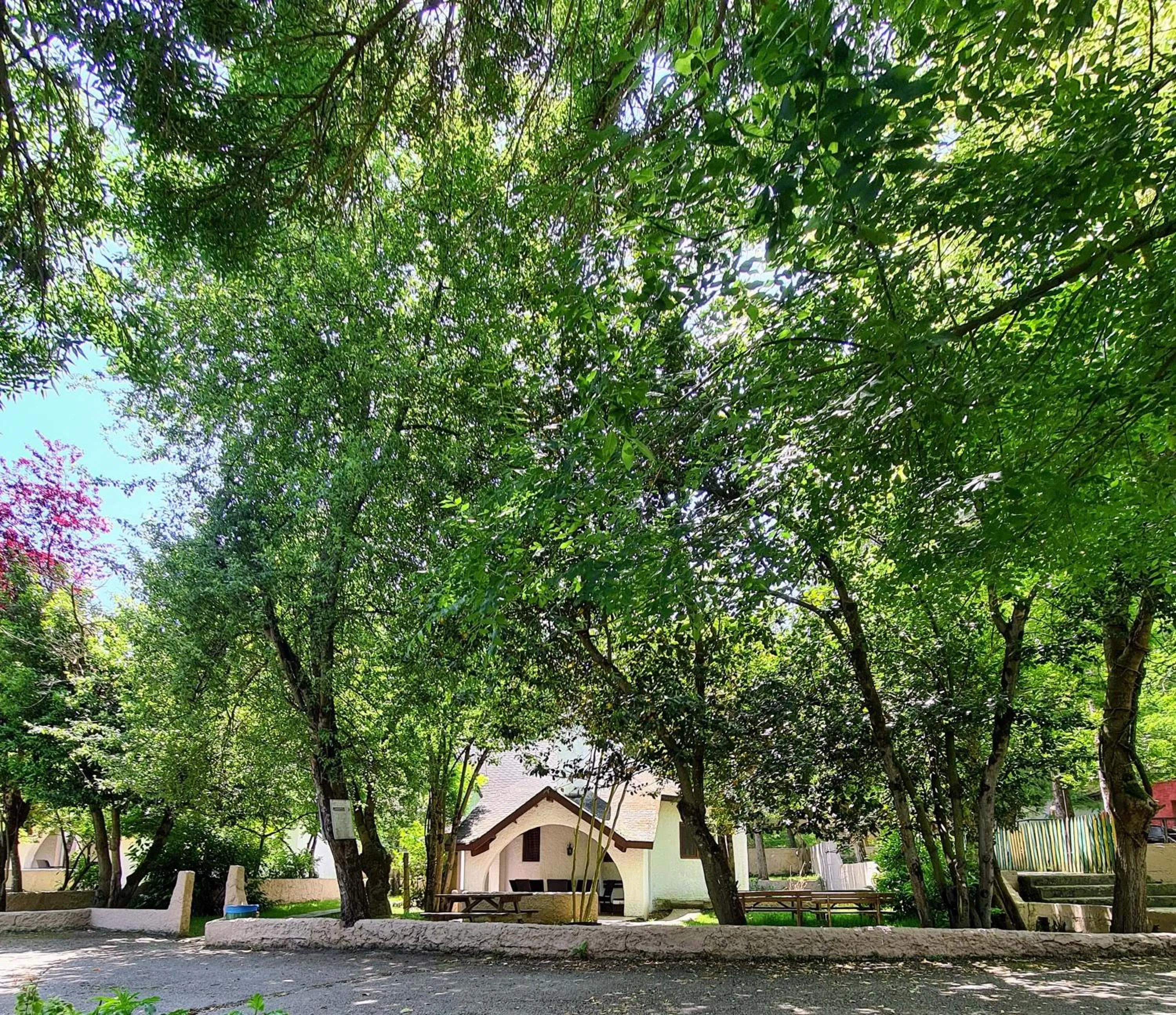 Photo of the whole room in Polonezköy Country Club & Accommodation in the Wildlife Park!