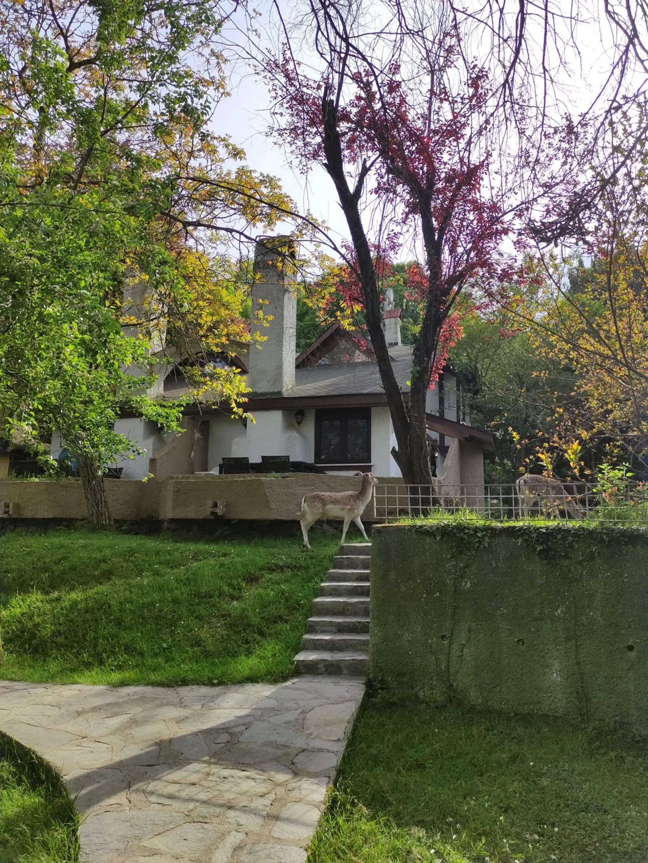 Property building in Polonezköy Country Club & Accommodation in the Wildlife Park!