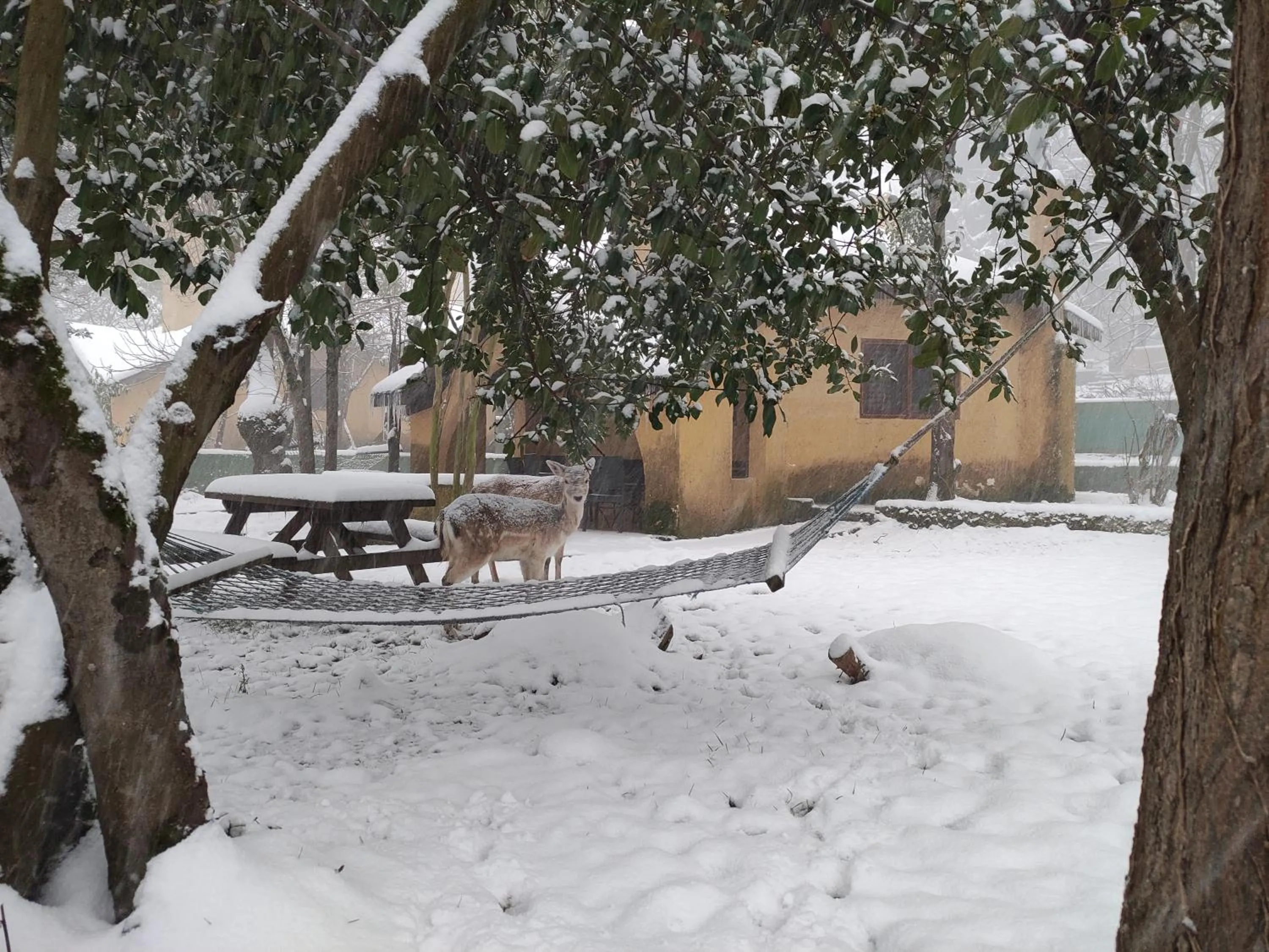 Patio in Polonezköy Country Club & Accommodation in the Wildlife Park!