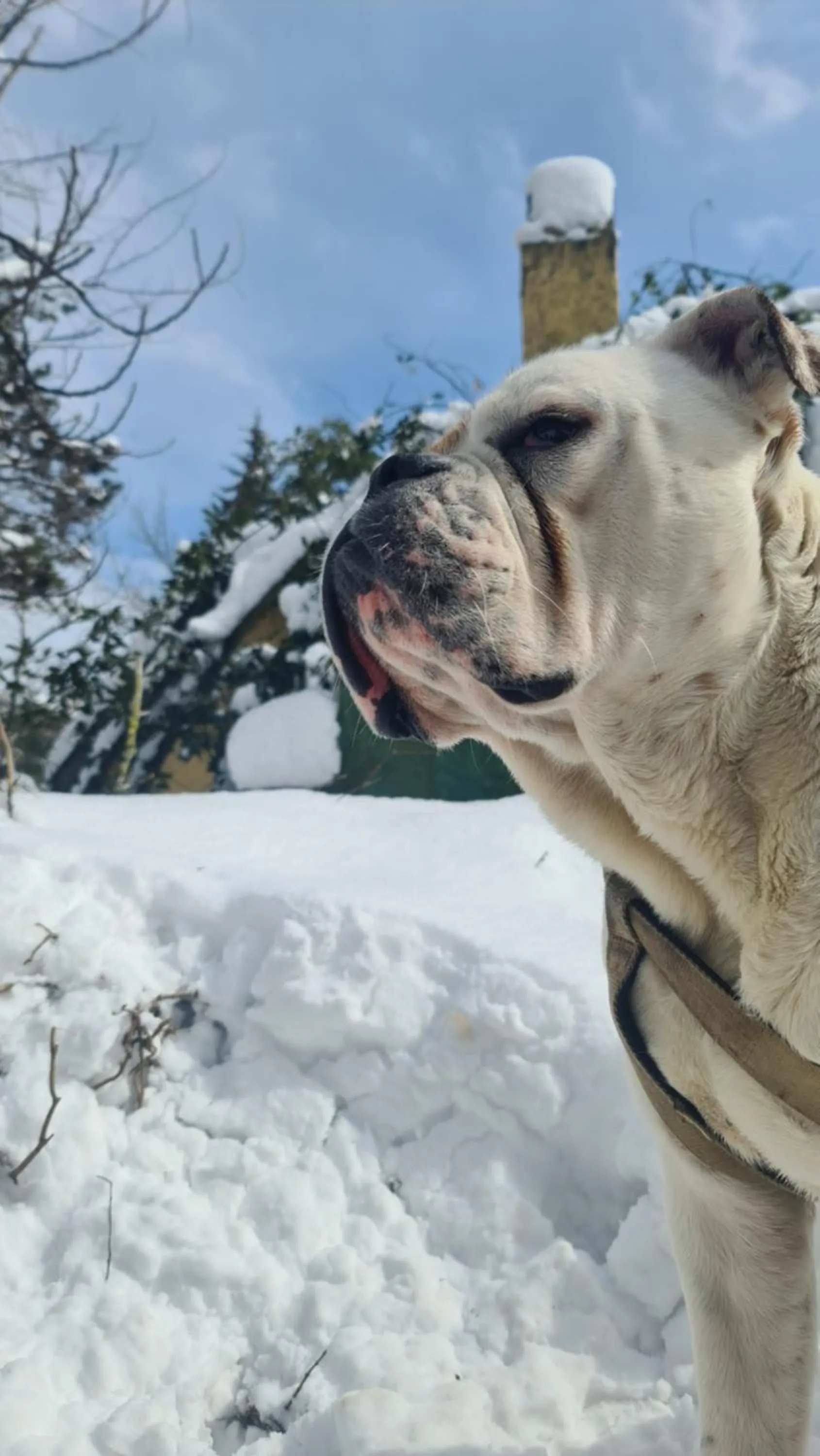 Winter in Polonezköy Country Club & Accommodation in the Wildlife Park!