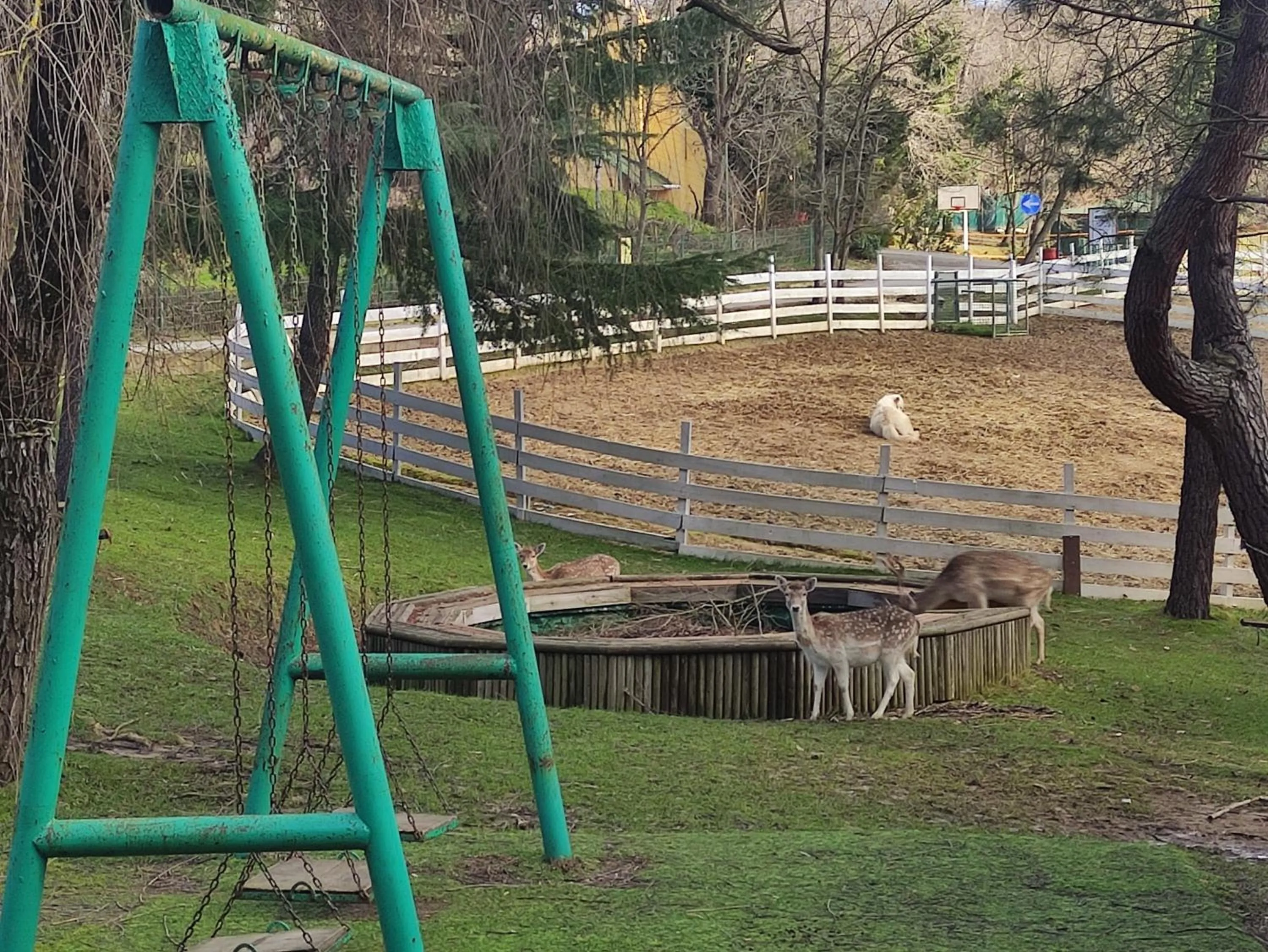 Children play ground in Polonezköy Country Club & Accommodation in the Wildlife Park!